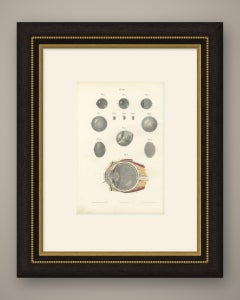 The Crystalline Lens, Antique Hirschfeld Anatomy Print, 1866