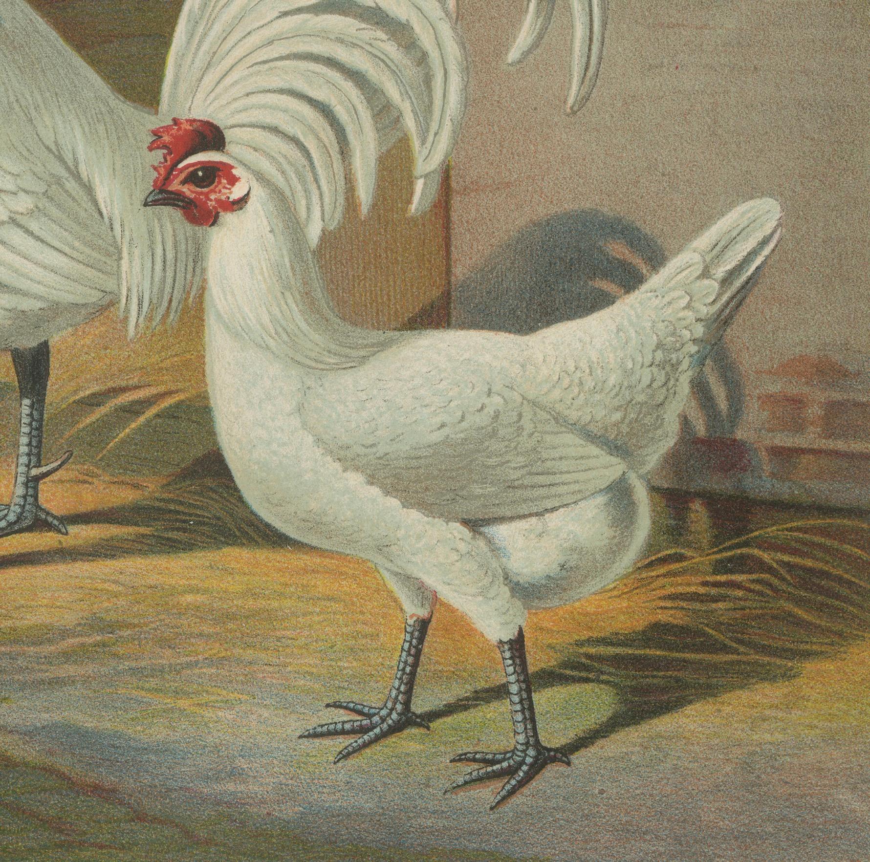 The Distinguished Ramelsloher Chicken - A Rare 19th Century Poultry Lithograph In Good Condition For Sale In Langweer, NL