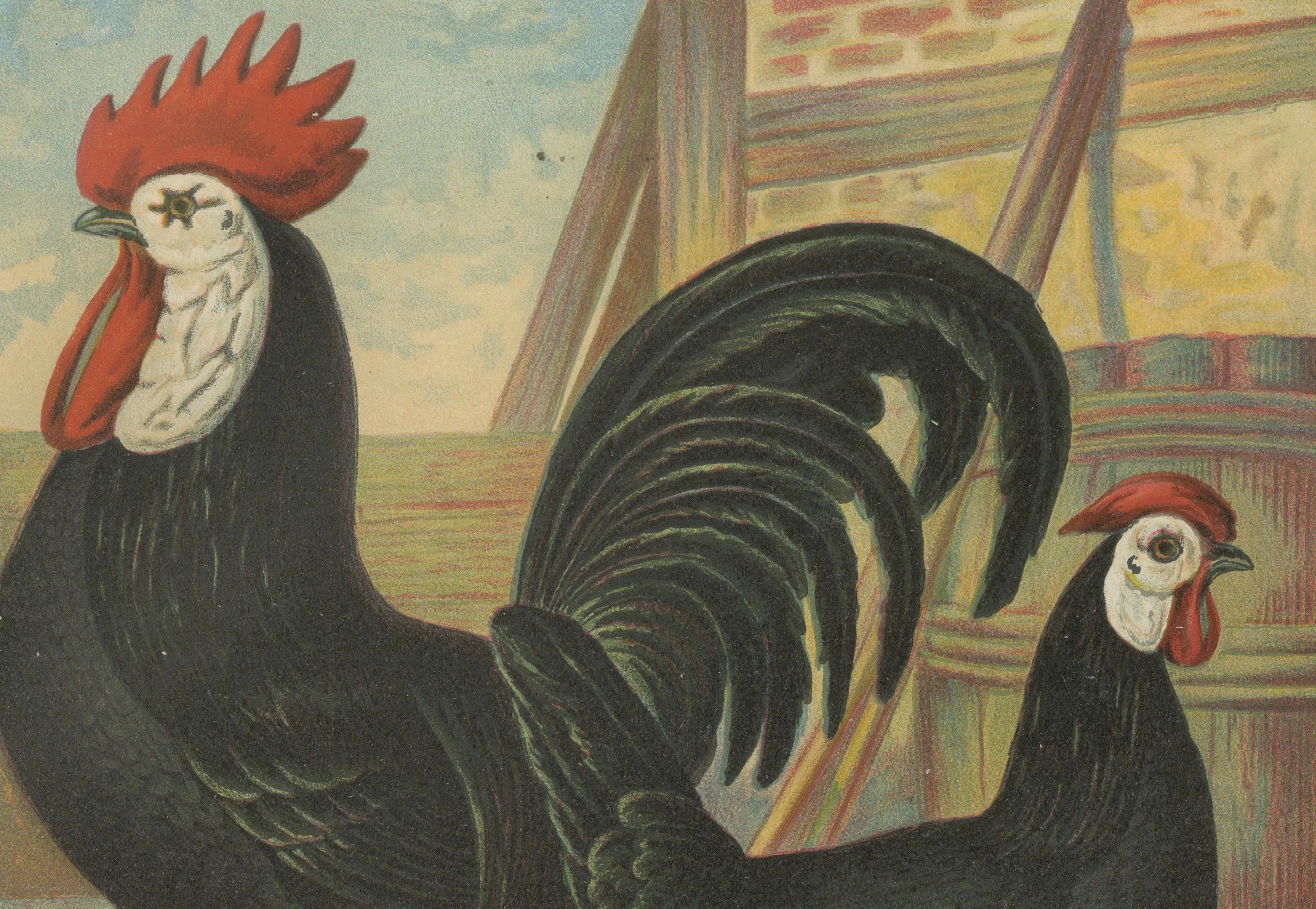 The Distinguished Spanish Chicken - A Rare 19th Century Poultry Lithograph (Spätes 19. Jahrhundert) im Angebot