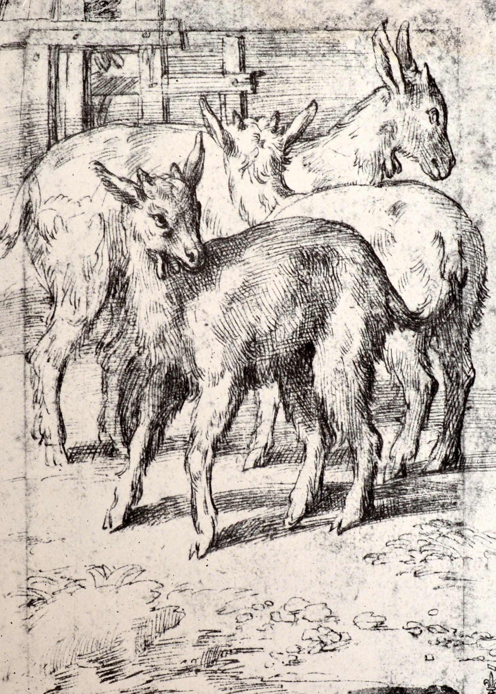 Disegni del Parmigianino da un. E. Popham, 1a ed. in vendita 5