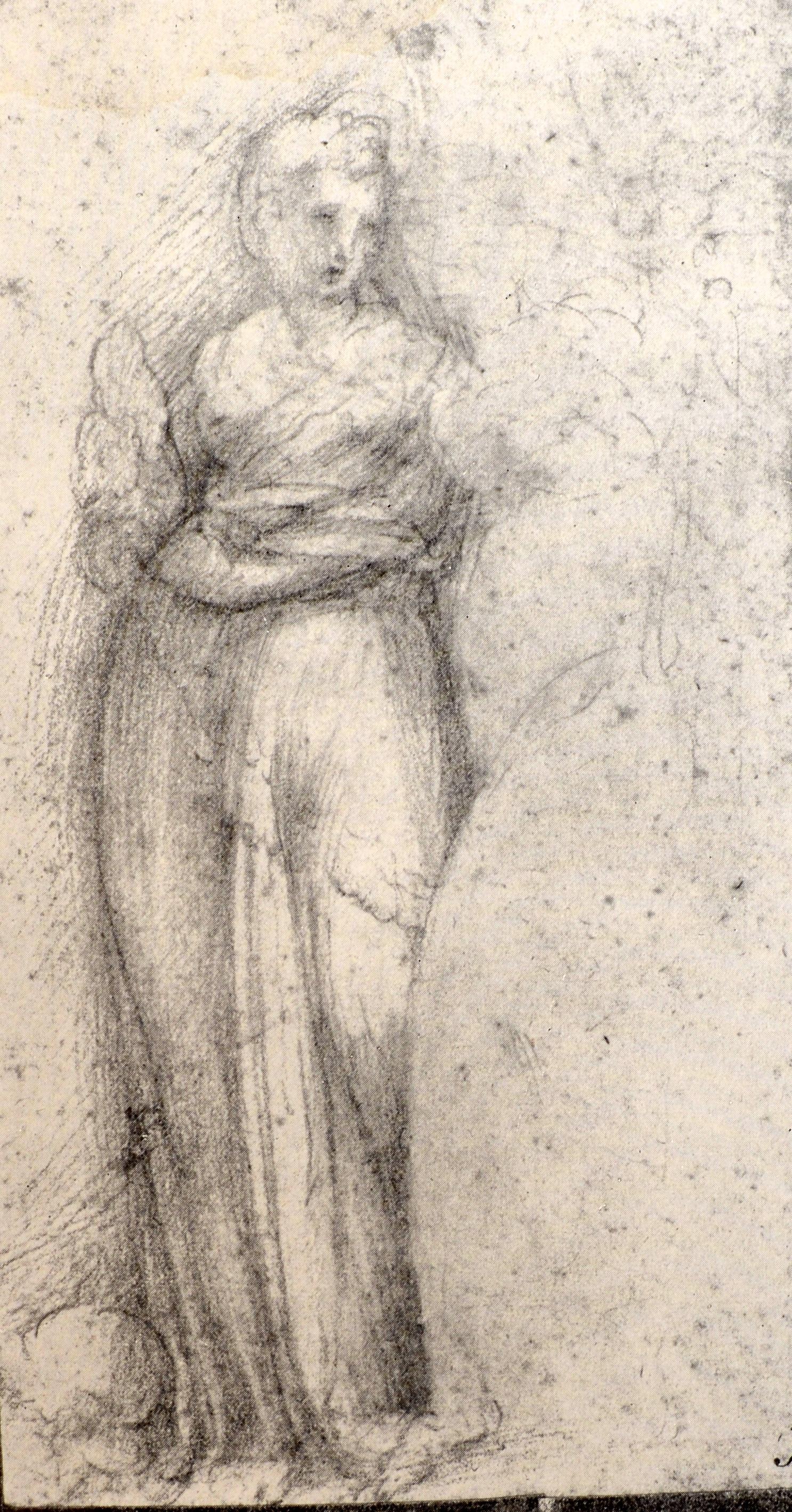 disegni parmigianino