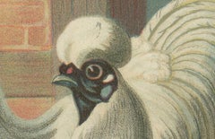 Enchanteresse japonaise poulet en soie - Une rare lithographie de poterie du 19ème siècle