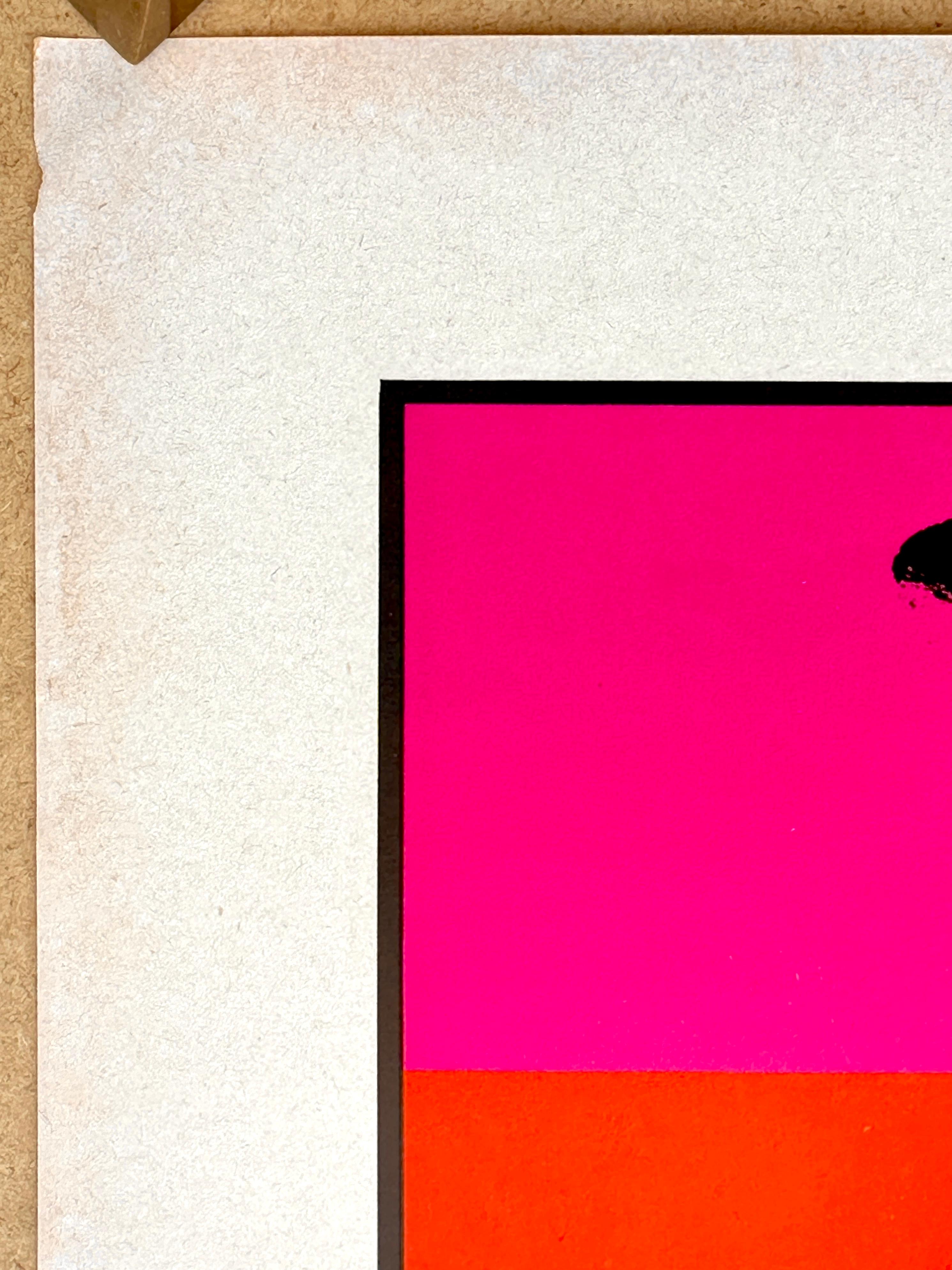 Americano Poster cinematografico originale di 'The Endless Summer' di John Van Hamersveld, 1965 in vendita