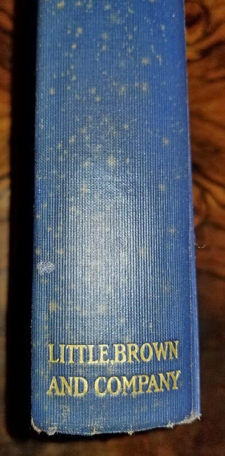 Paper Epic of America by Jt Adams First Edition Re-Print For Sale