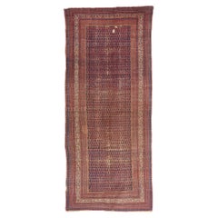More Carpets