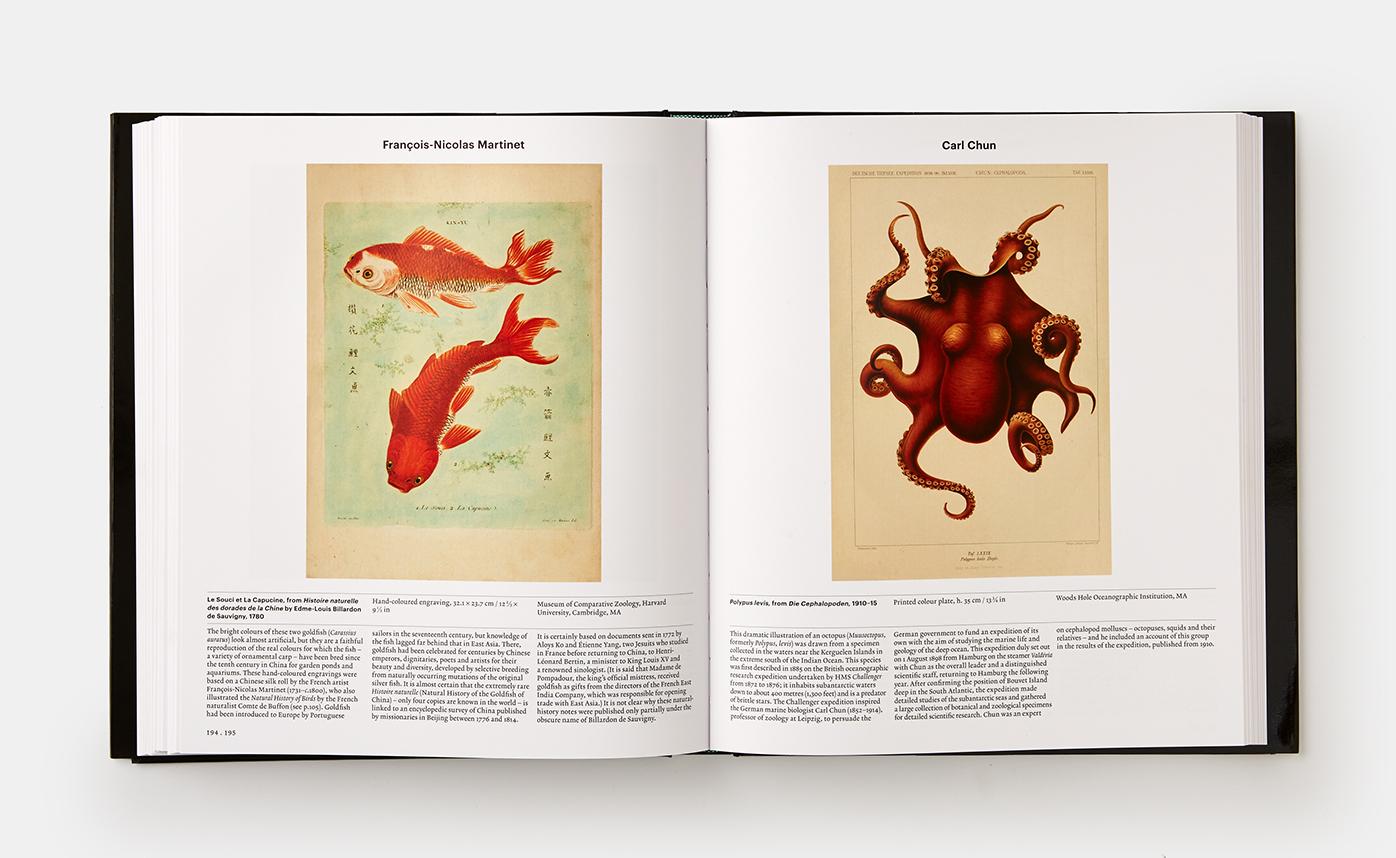 Contemporary Explorer Collection 'Universe, Map, Anatomy, Plant, Animal'
