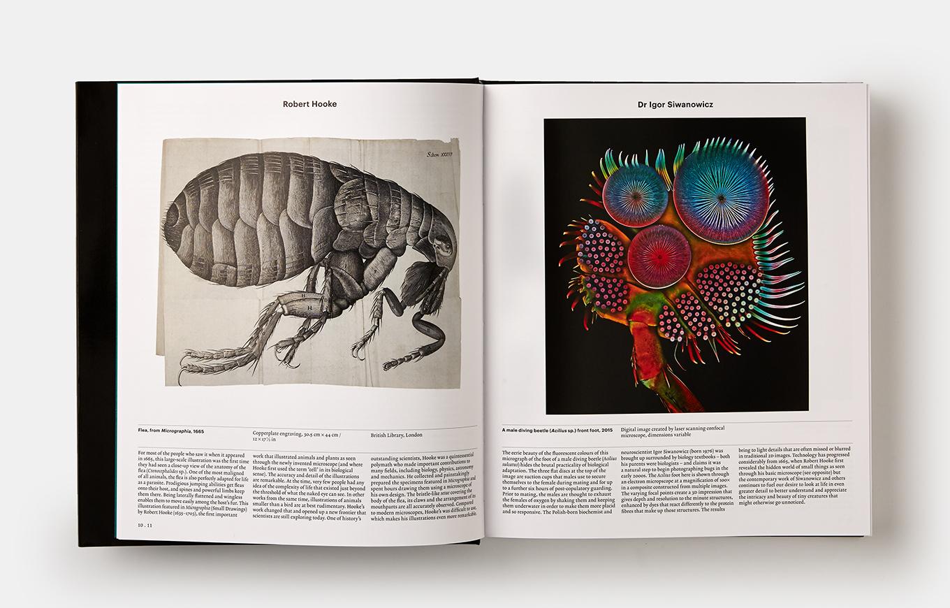 Paper Explorer Collection 'Universe, Map, Anatomy, Plant, Animal'