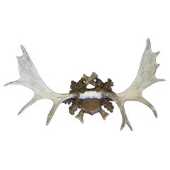 The Expo Inc Faux Moose Rack Antler Wall Mount Indoor Outdoor Plaque 44"
