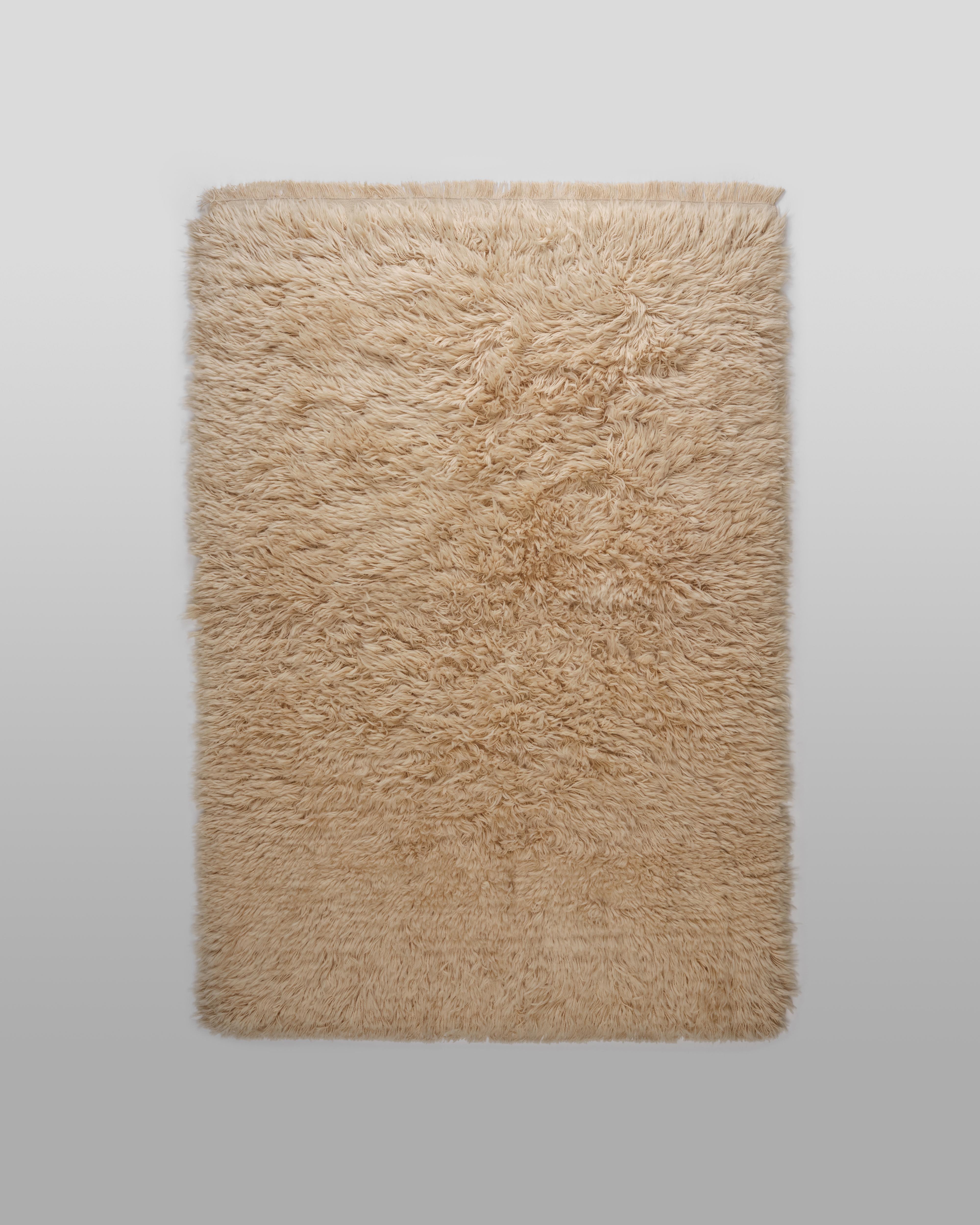 Contemporary The Forsyth Woolly Shag Rug - Natural, 6x9 For Sale