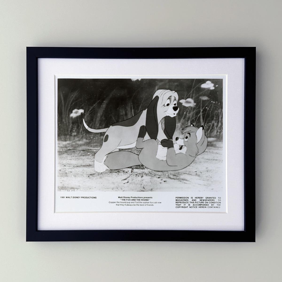 Original 8x10 inches Publicity Still for the Disney classic The Fox and the Hound (1981). 

Publicity (film/production) stills were created to help studios promote their new films. The stills were included with press kits and available at press