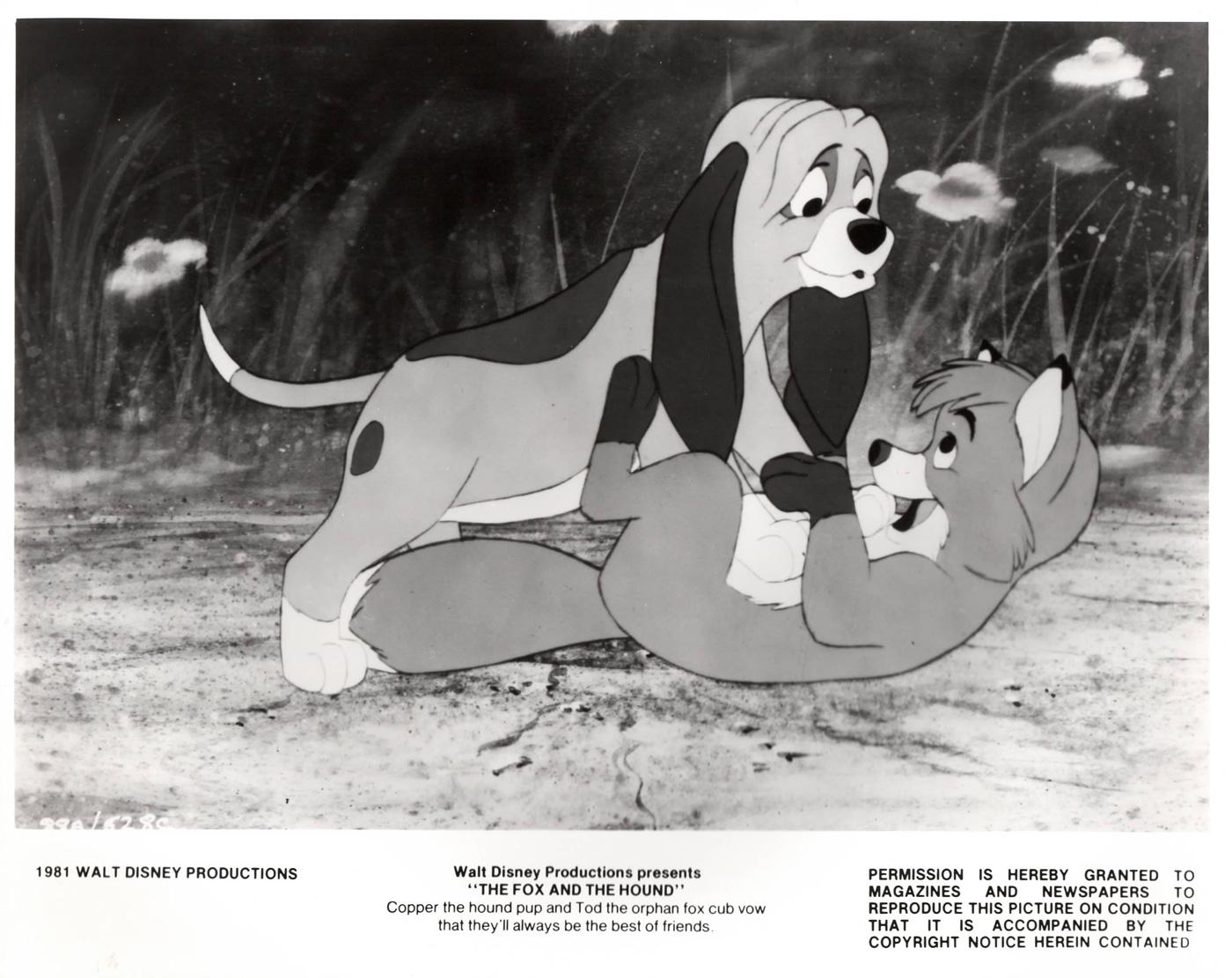 20th Century THE FOX AND THE HOUND  (1981)  Publicity Film Still  FRAMED For Sale