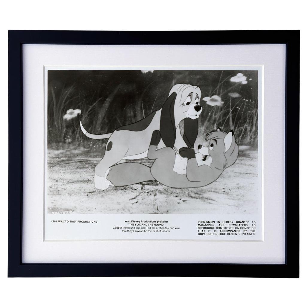 THE FOX AND THE HOUND  (1981)  Publicity Film Still  FRAMED