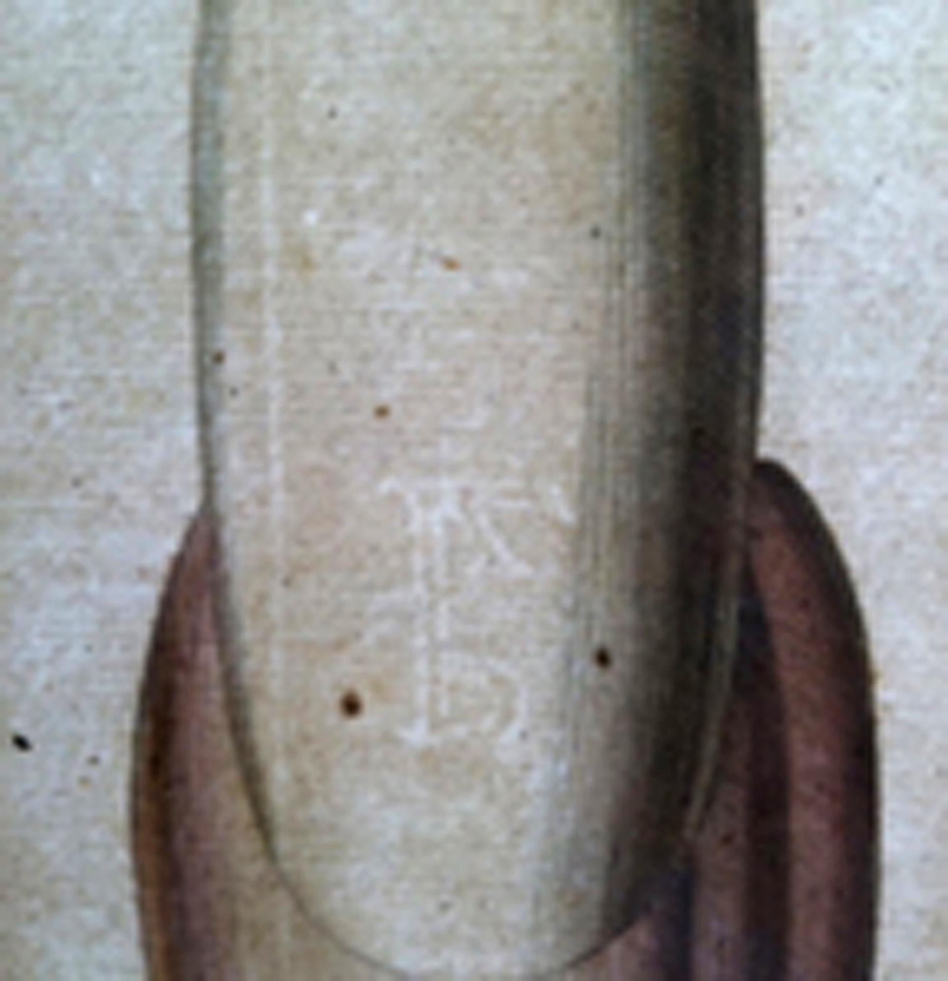 Der Garten von Malabar: Ein grundlegendes Werk der tropischen Botanik (Papier) im Angebot