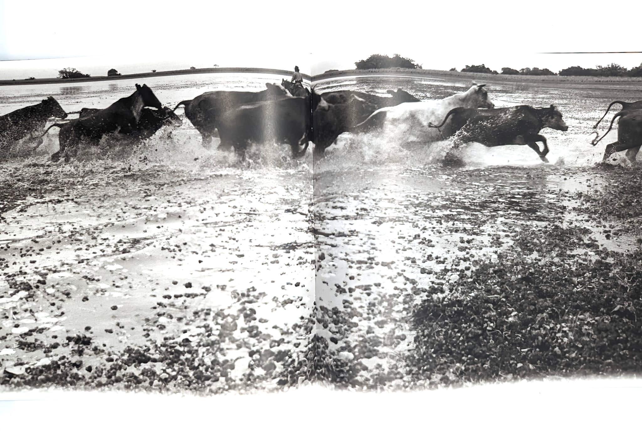 Les Gauchos: Their Landscape, Customs, Skills, and Luxuries d'Aldo Sessa en vente 4