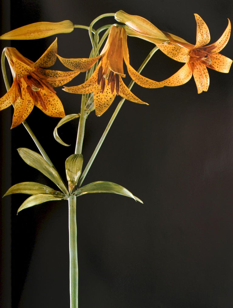 The Glass Flowers at Harvard by Richard Evans Schultes, First Edition