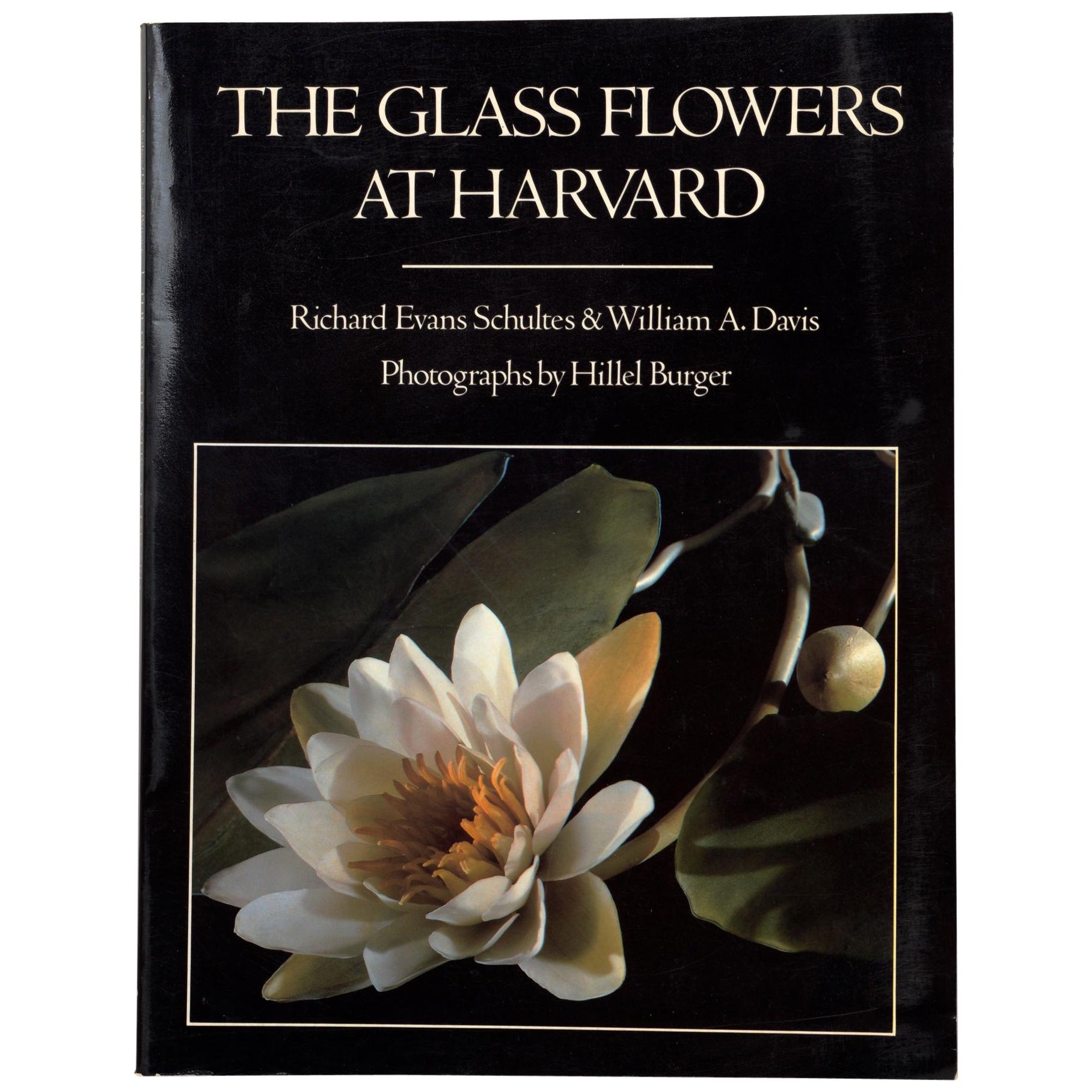The Glass Flowers at Harvard by Richard Evans Schultes, First Edition