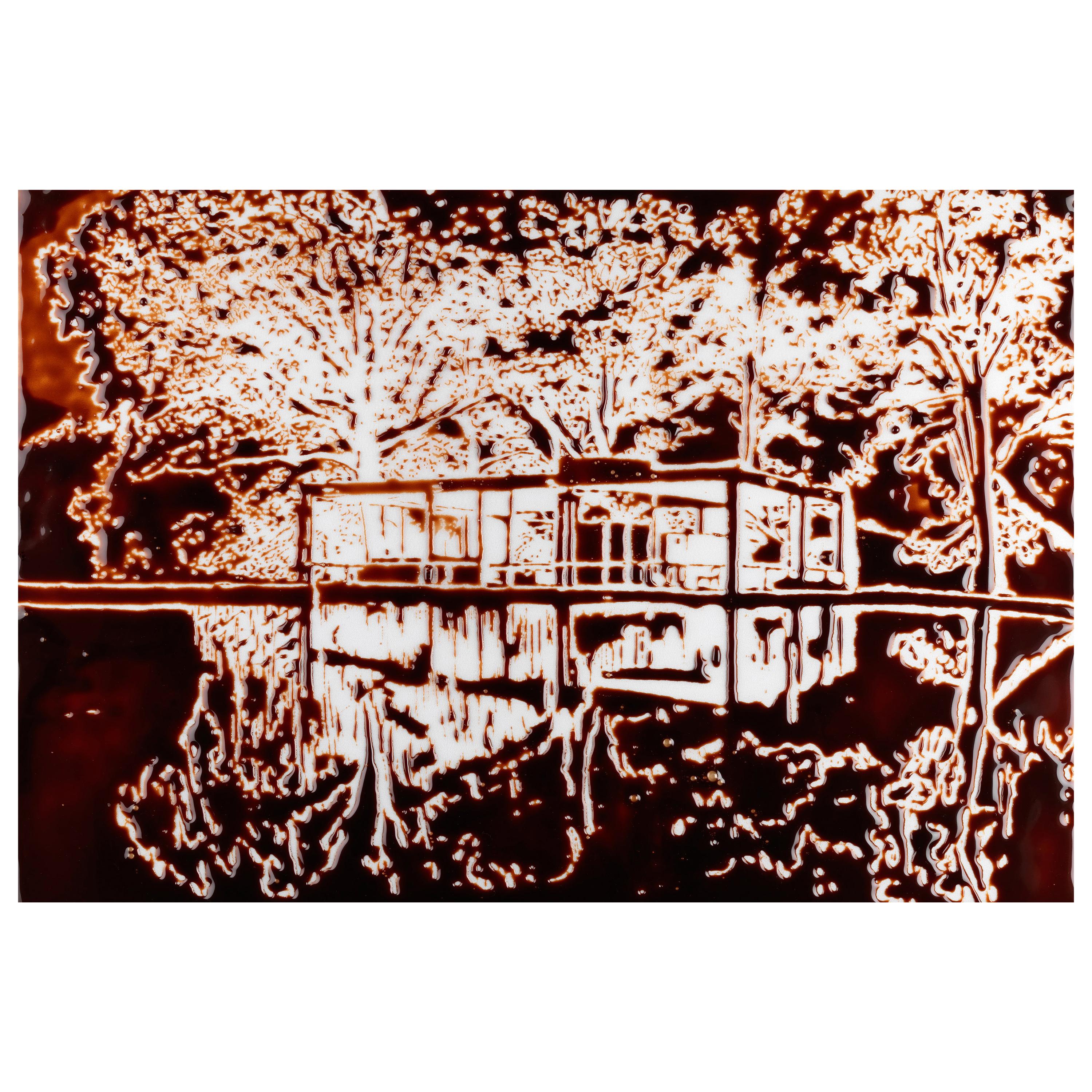 The Glass House, after Robin Hill Photograph by Vik Muniz