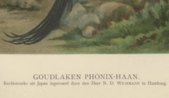 The Golden Phoenix Rooster - A Rare 19th Century Poultry Lithograph