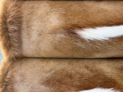 Gomez Banco Gacela Bolster