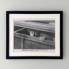 The Goonies 1985 Publicity Film Movie Press Still Framed