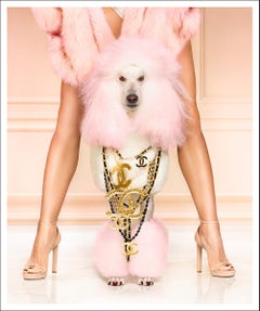Showgirl (other sizes available)