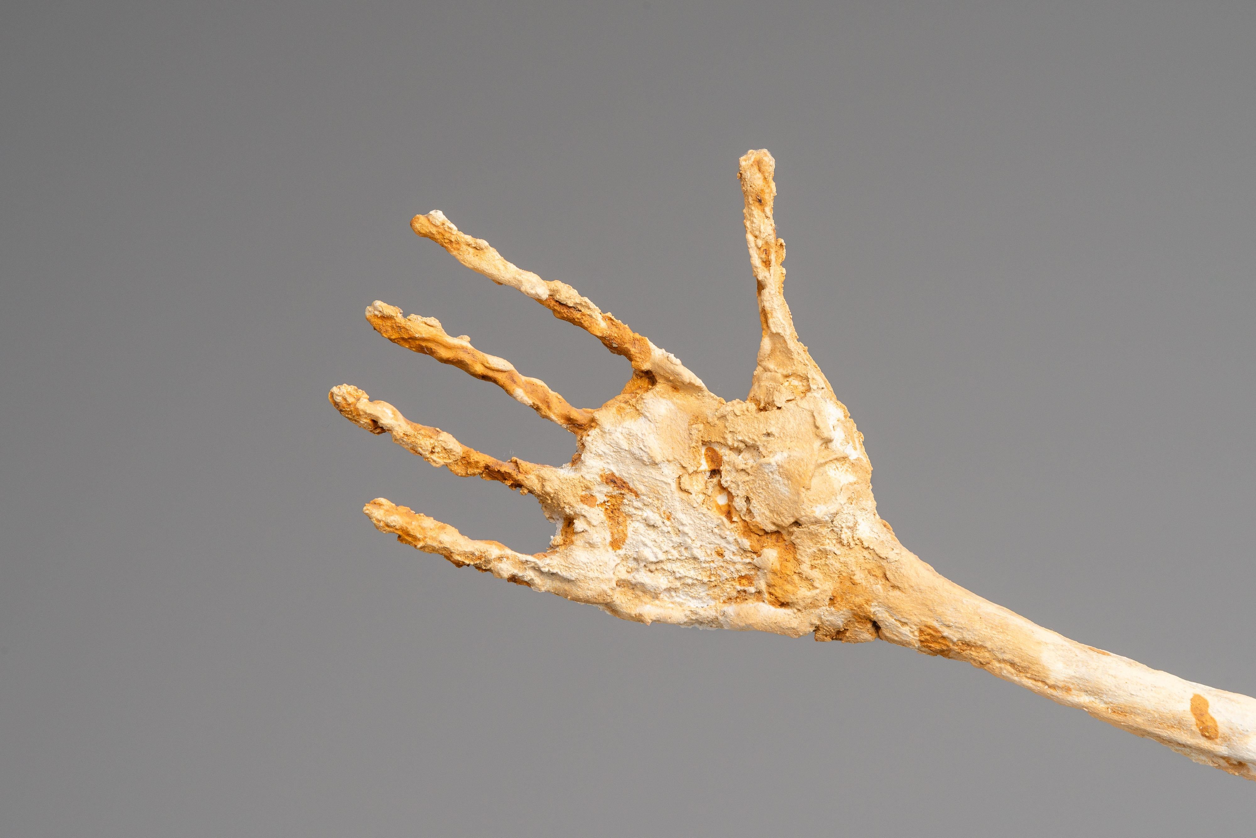 La mano escultura según Alberto Giacometti Francia Años 60 en Bueno estado para la venta en Roosendaal, Noord Brabant