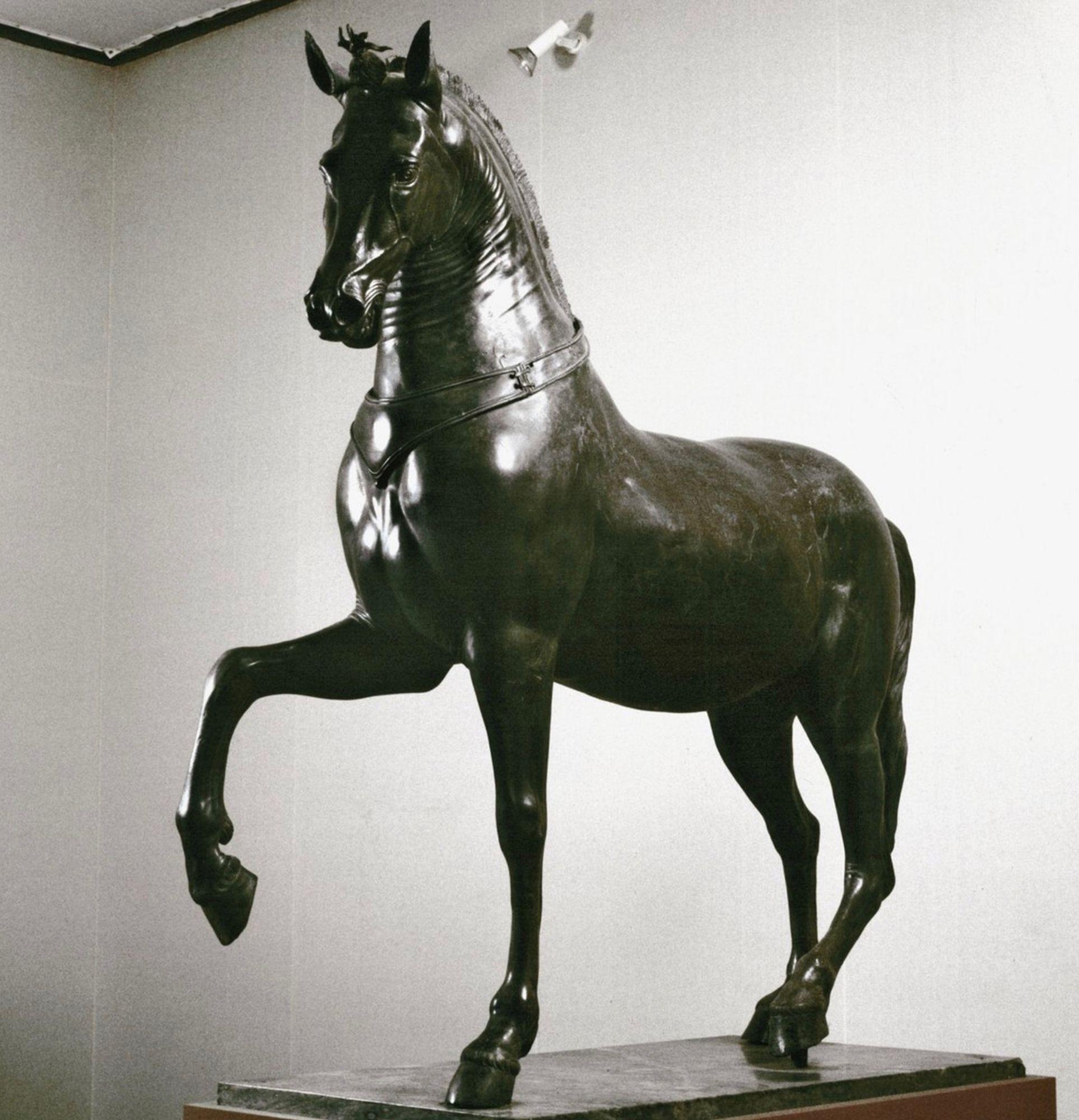 Il Cavallo Mazzocchi di Ercolano dopo l'antichità in vendita 2
