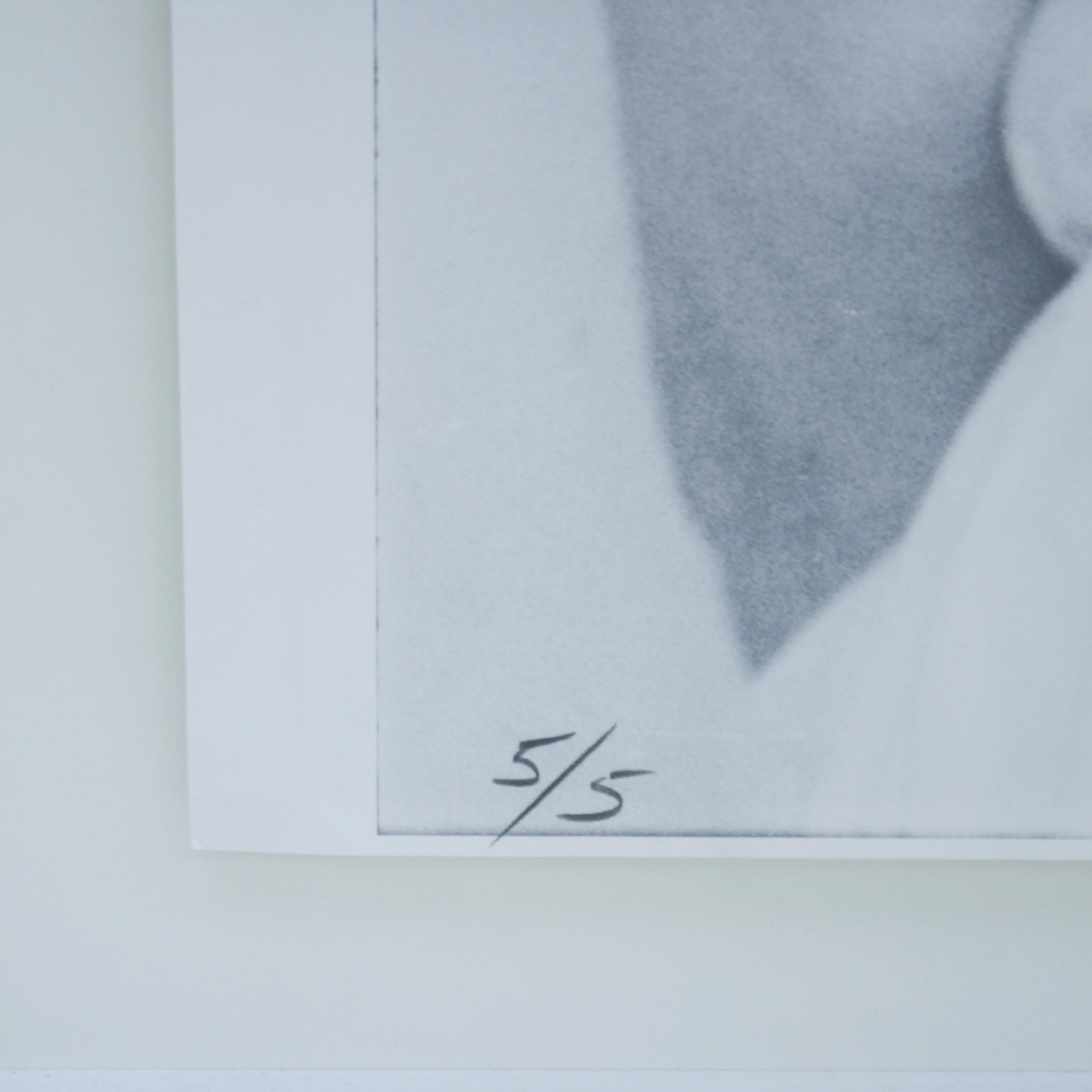 Moderno contemporaneo The Hilton Brothers Ritratti di Andy Warhol, 2007 in vendita 3