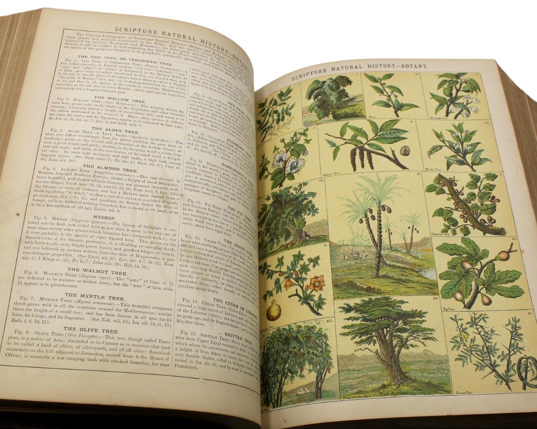 The Holy Bible, Containing the Old and New Testaments, Illustrated, 1882 6