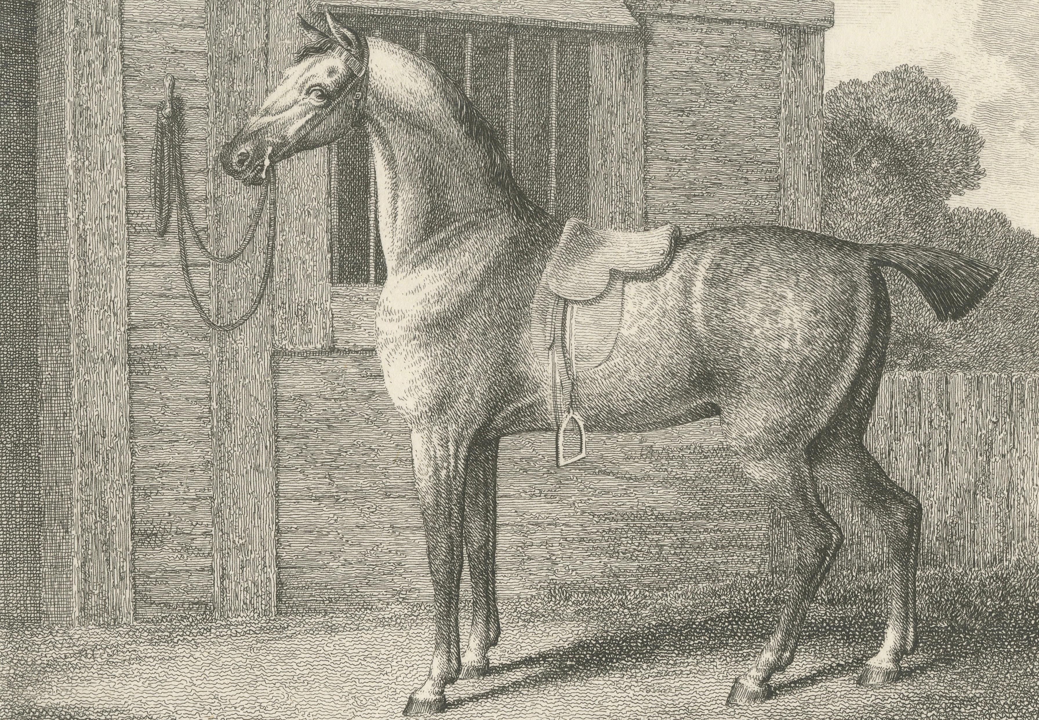 The Hunter, Samuel Howitt Georgian Equestrian Engraving, England, 1799