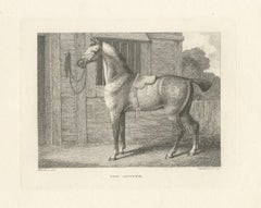 « Le chasseur », gravure équestre de style géorgien de Samuel Howitt, Angleterre, 1799