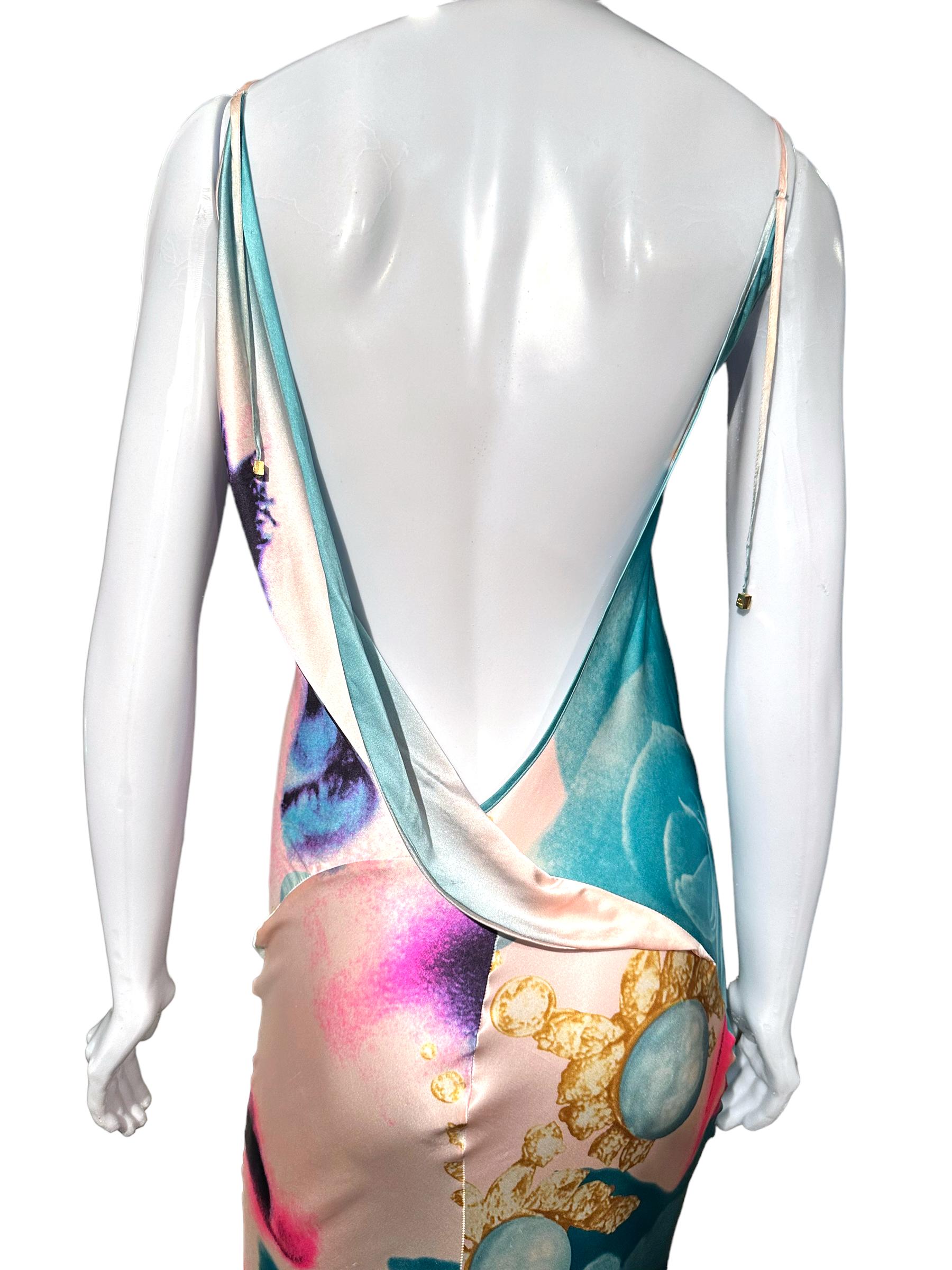 The Iconic Roberto Cavalli Ss 2001 Liz Taylor Print Runway Bias-Cut Silk Gown For Sale 2