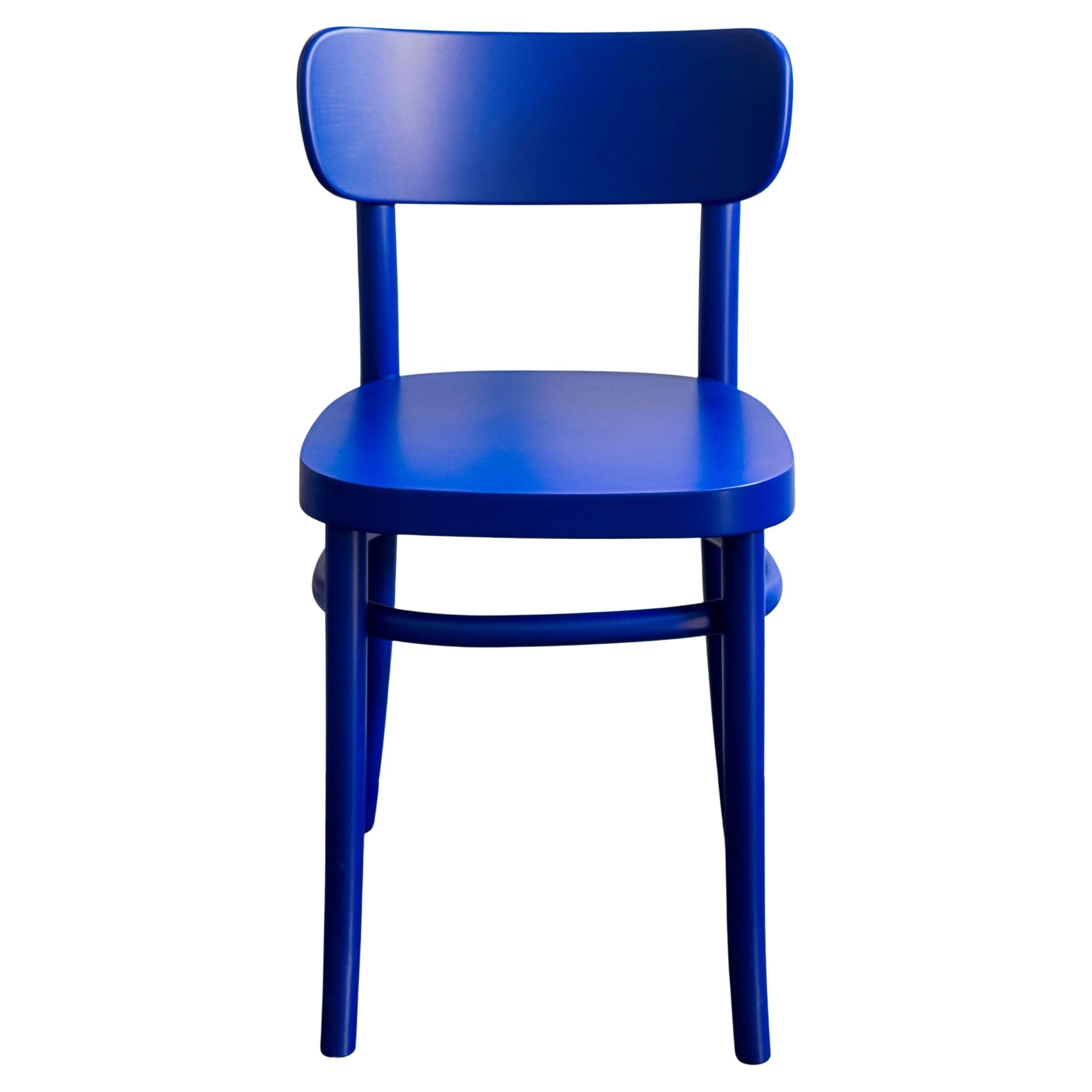 L'emblématique chaise MZO bleu roi en bois de hêtre par Mazo Design