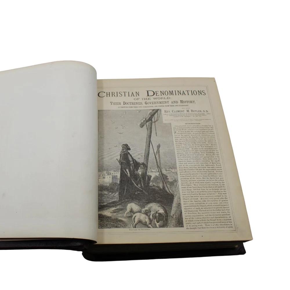 The Improved Domestic Bible, by Reverend Nevin, Illustrated, Circa 1880 1