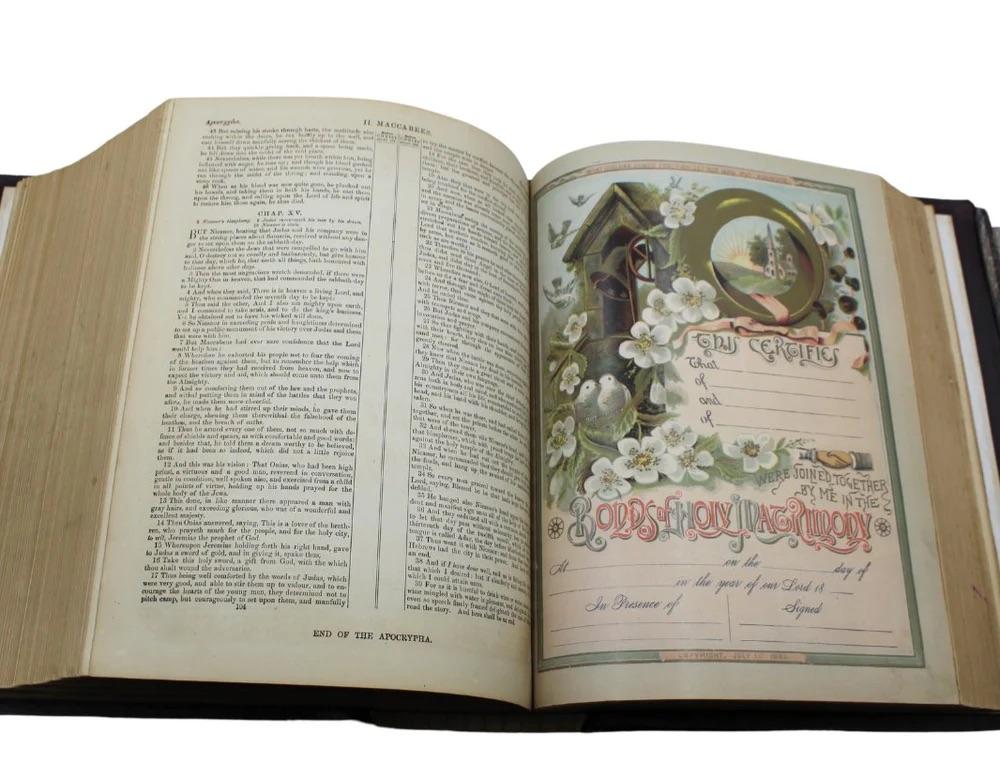 The Improved Domestic Bible, by Reverend Nevin, Illustrated, Circa 1880 7