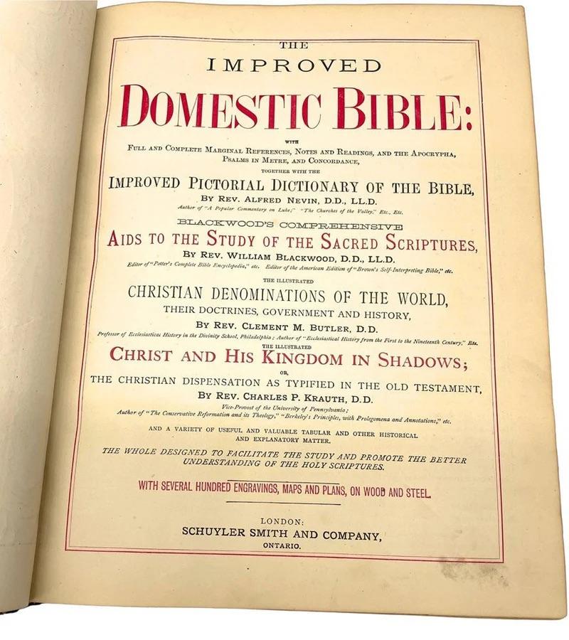 Hand-Carved The Improved Domestic Bible, by Reverend Nevin, Illustrated, Circa 1880