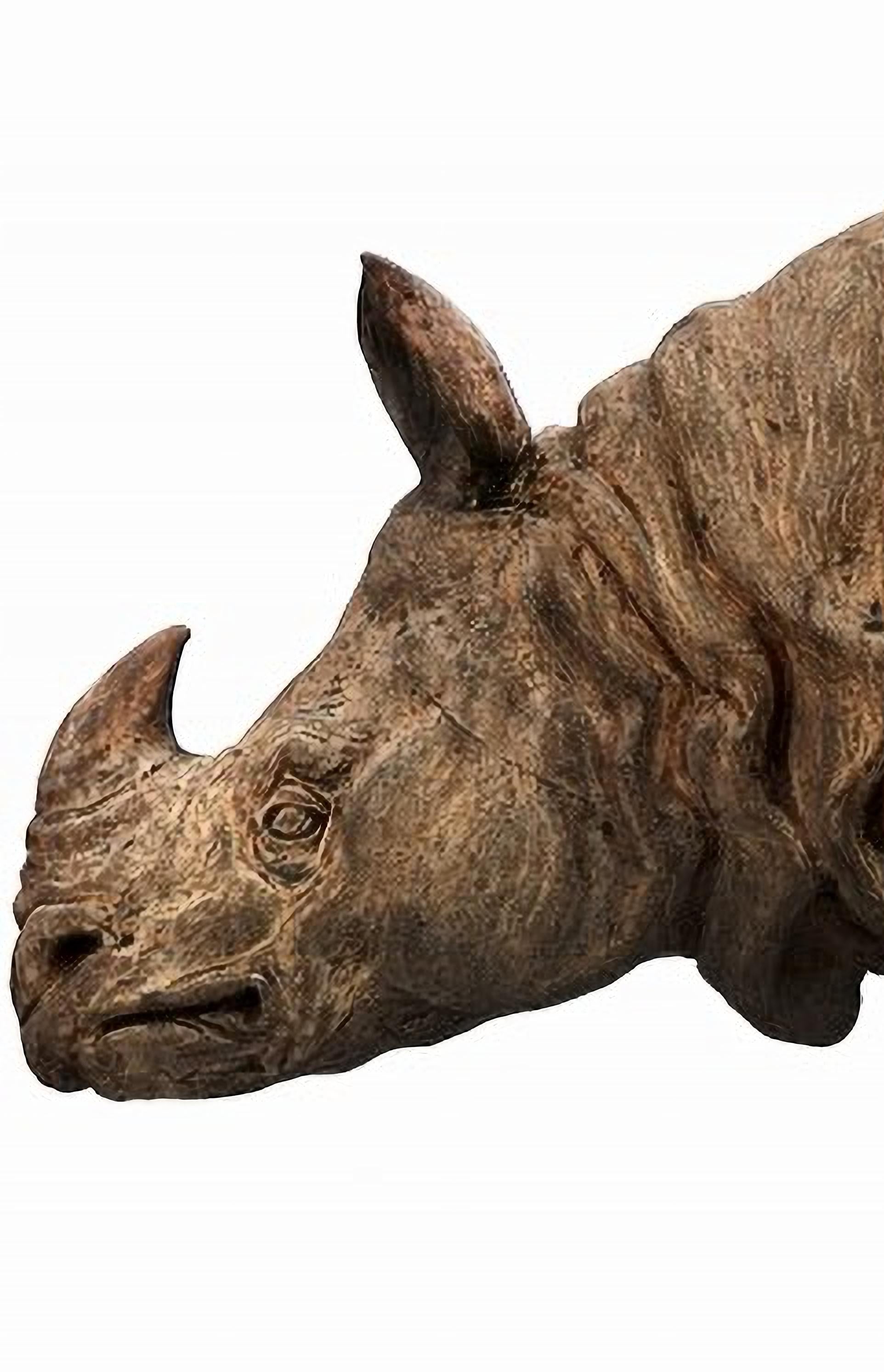Italian THE INDIAN TUSCANY TERRACOTTA RHINO FROM ASSAM 20th Century For Sale