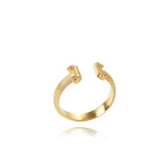 L'anello ionico
