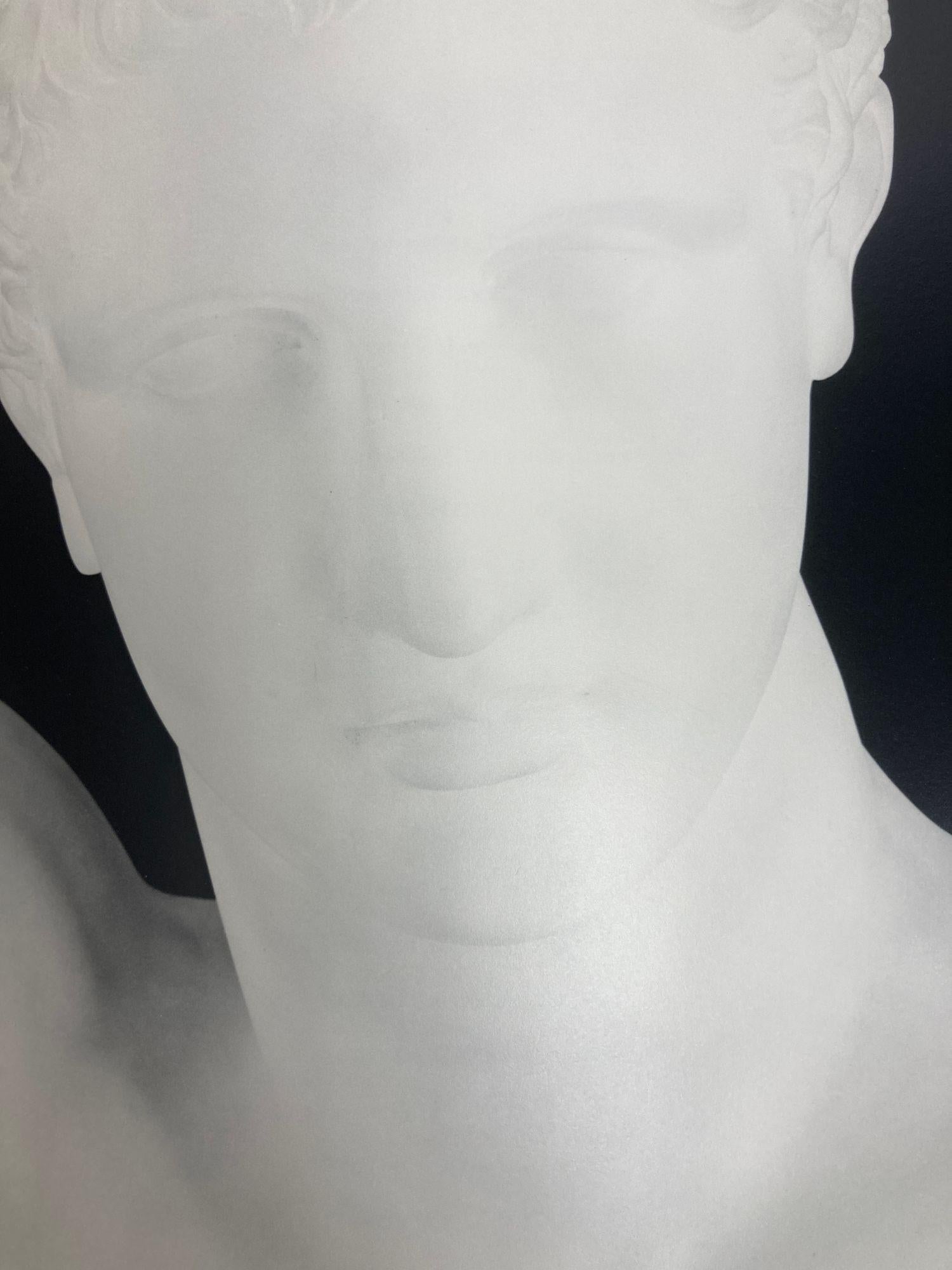La photographie de la baiser d'Apollon et sa sculpture de 1845 à nos jours par Jeffrey Fraen en vente 11
