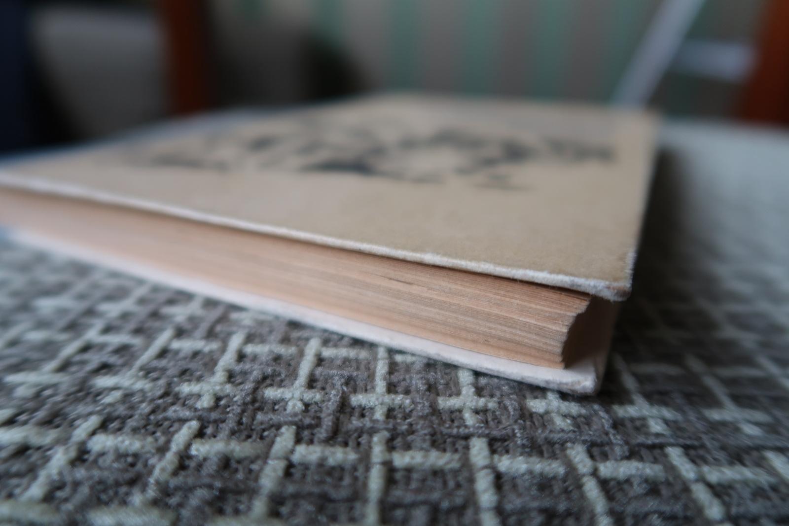 Vida y extraordinarias aventuras de Robinson Crusoe: Cuento de época, 1J164 en venta 5