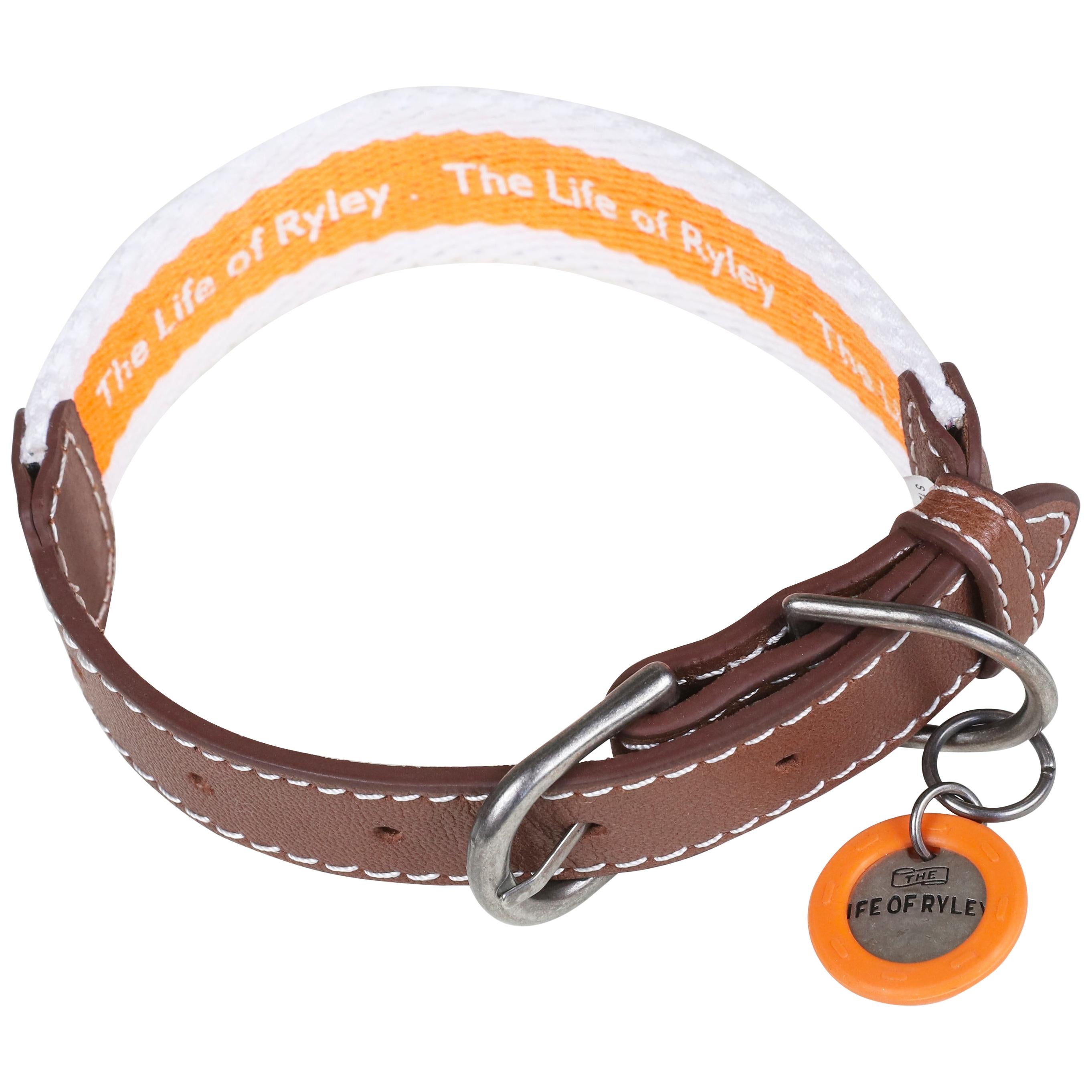 The Life of Ryley Dog Collar