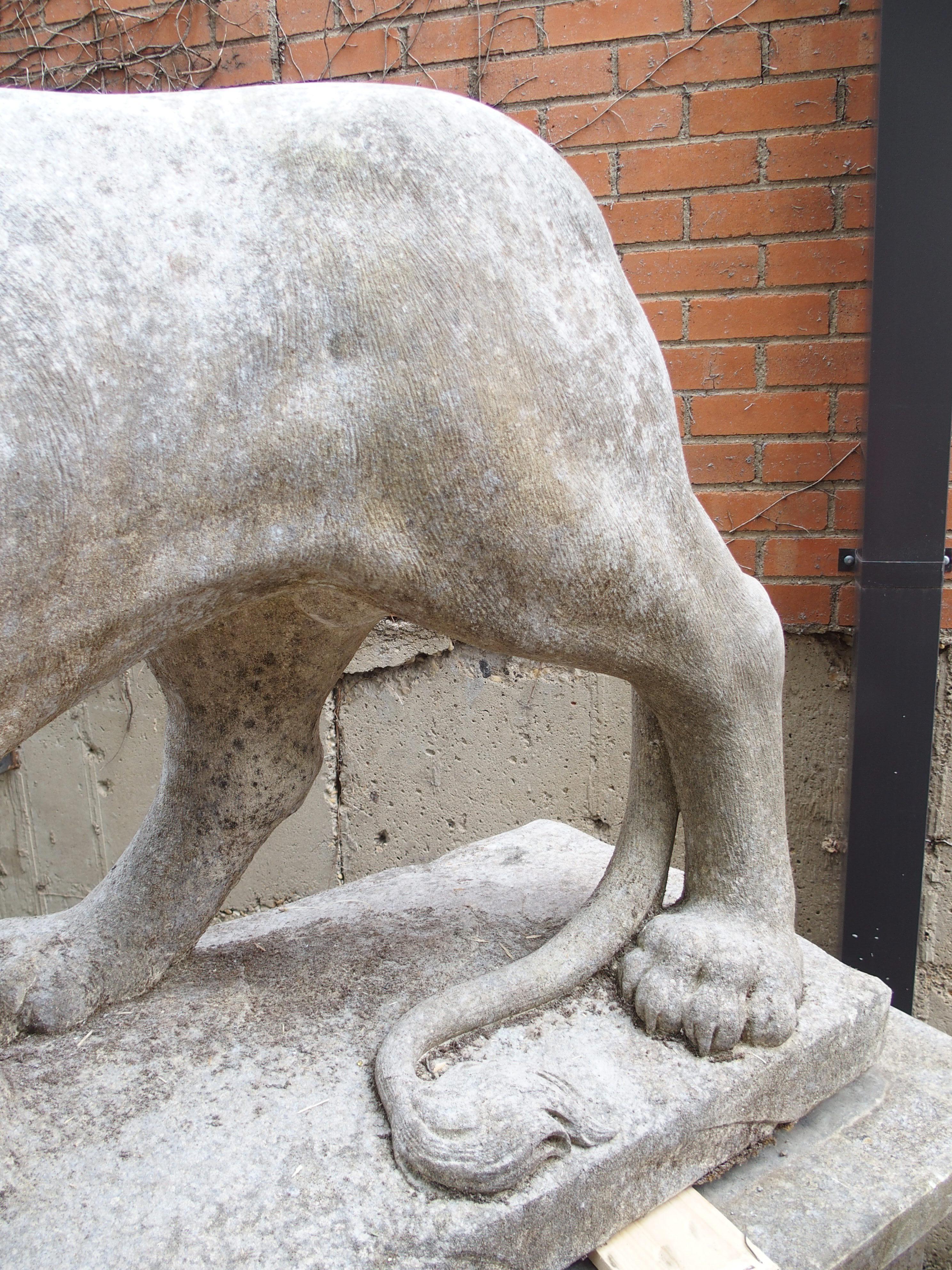 I Leoni di Firenze, coppia monumentale di leoni medicei in pietra calcarea scolpita in Italia in vendita 2