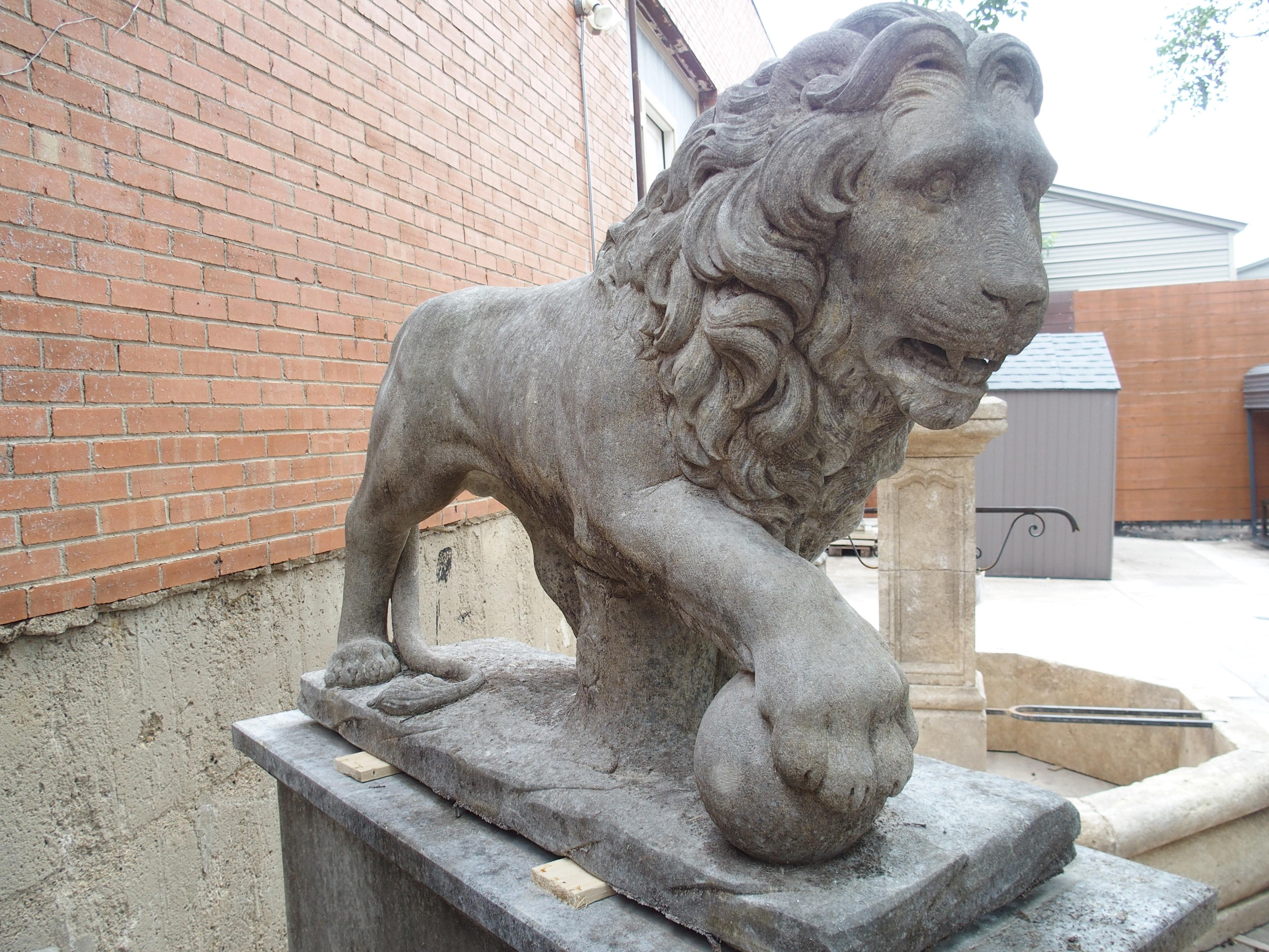 I Leoni di Firenze, coppia monumentale di leoni medicei in pietra calcarea scolpita in Italia in vendita 4