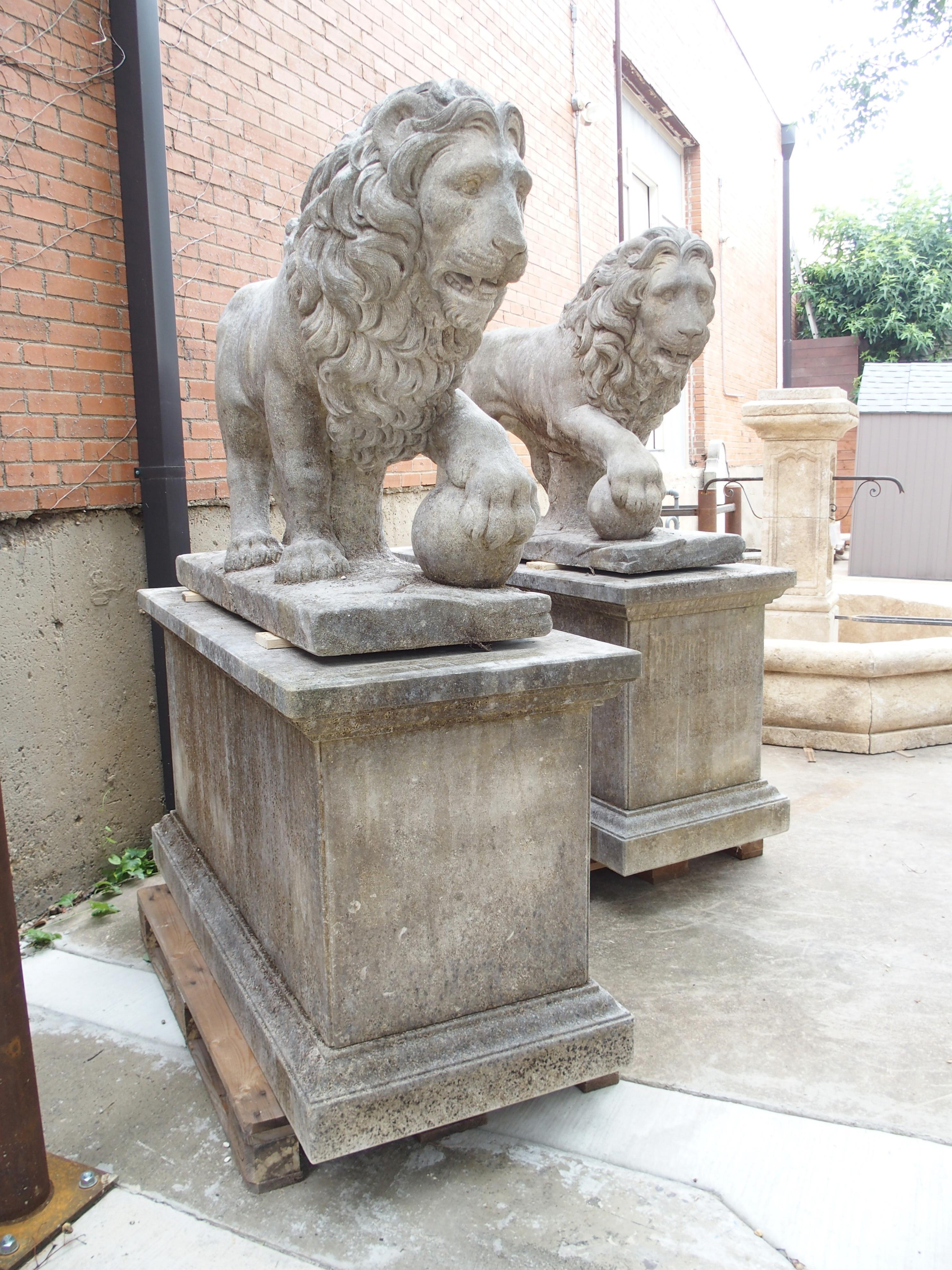 I Leoni di Firenze, coppia monumentale di leoni medicei in pietra calcarea scolpita in Italia in vendita 7