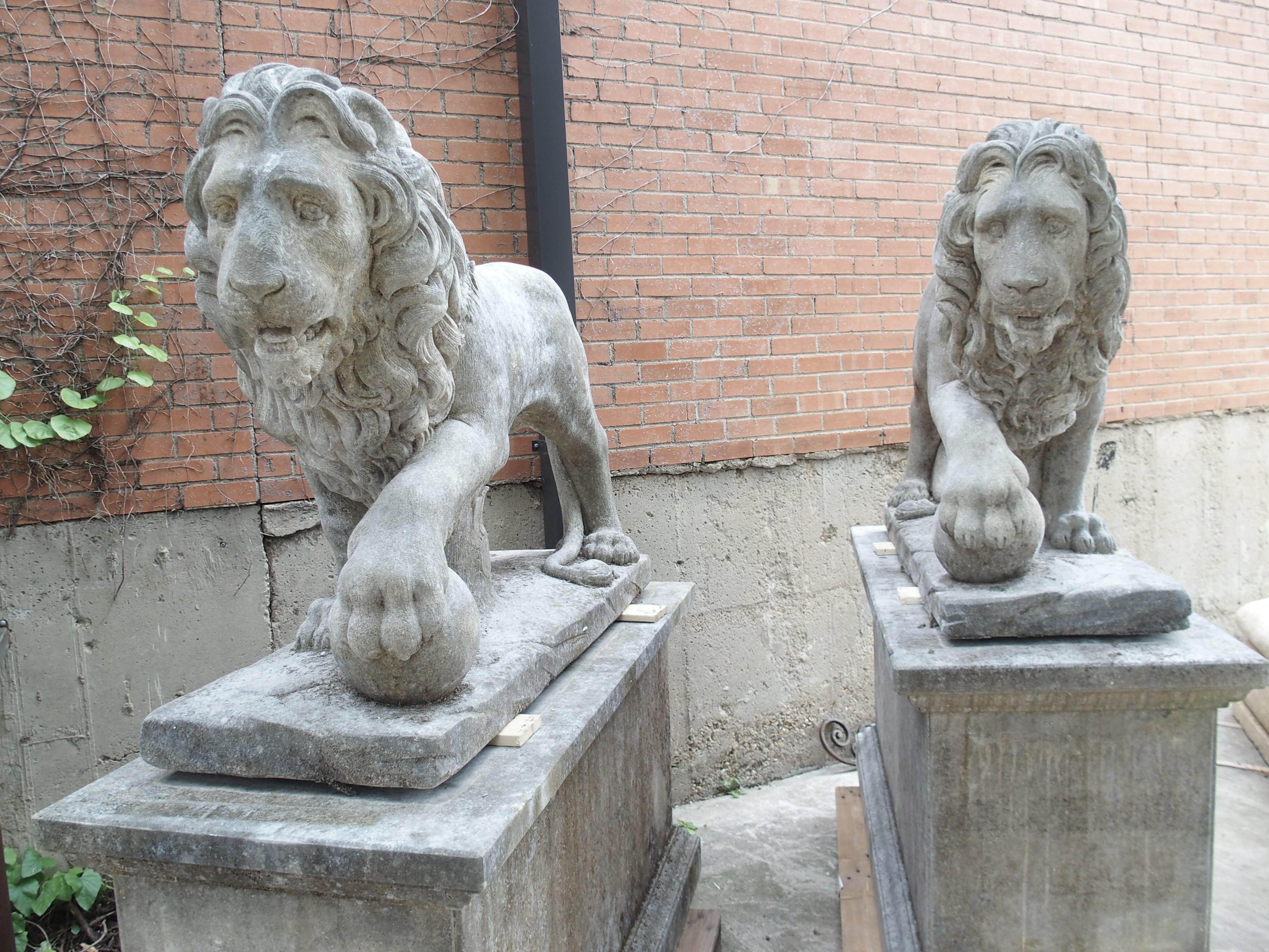 I Leoni di Firenze, coppia monumentale di leoni medicei in pietra calcarea scolpita in Italia in vendita 8