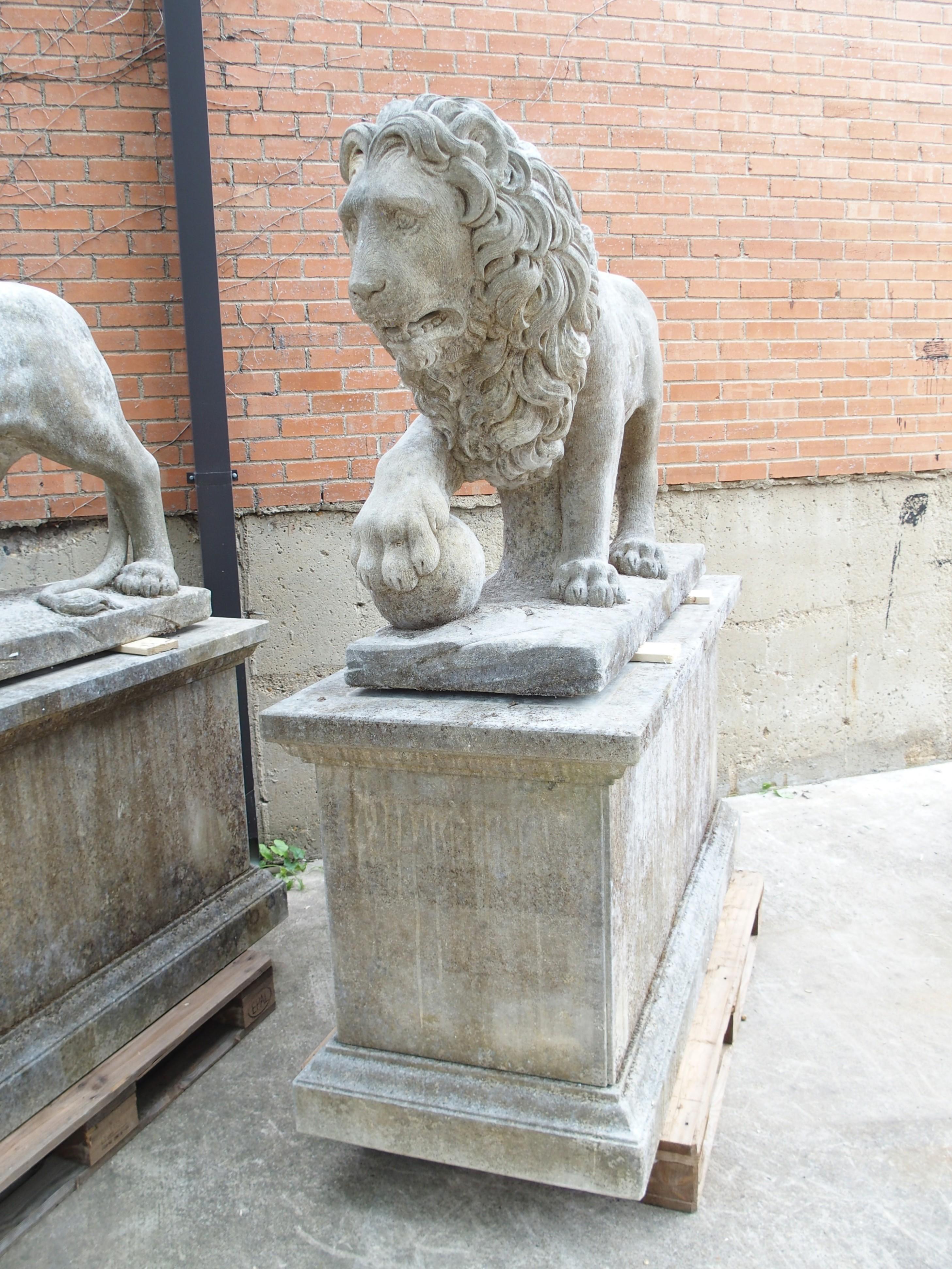I Leoni di Firenze, coppia monumentale di leoni medicei in pietra calcarea scolpita in Italia in vendita 9