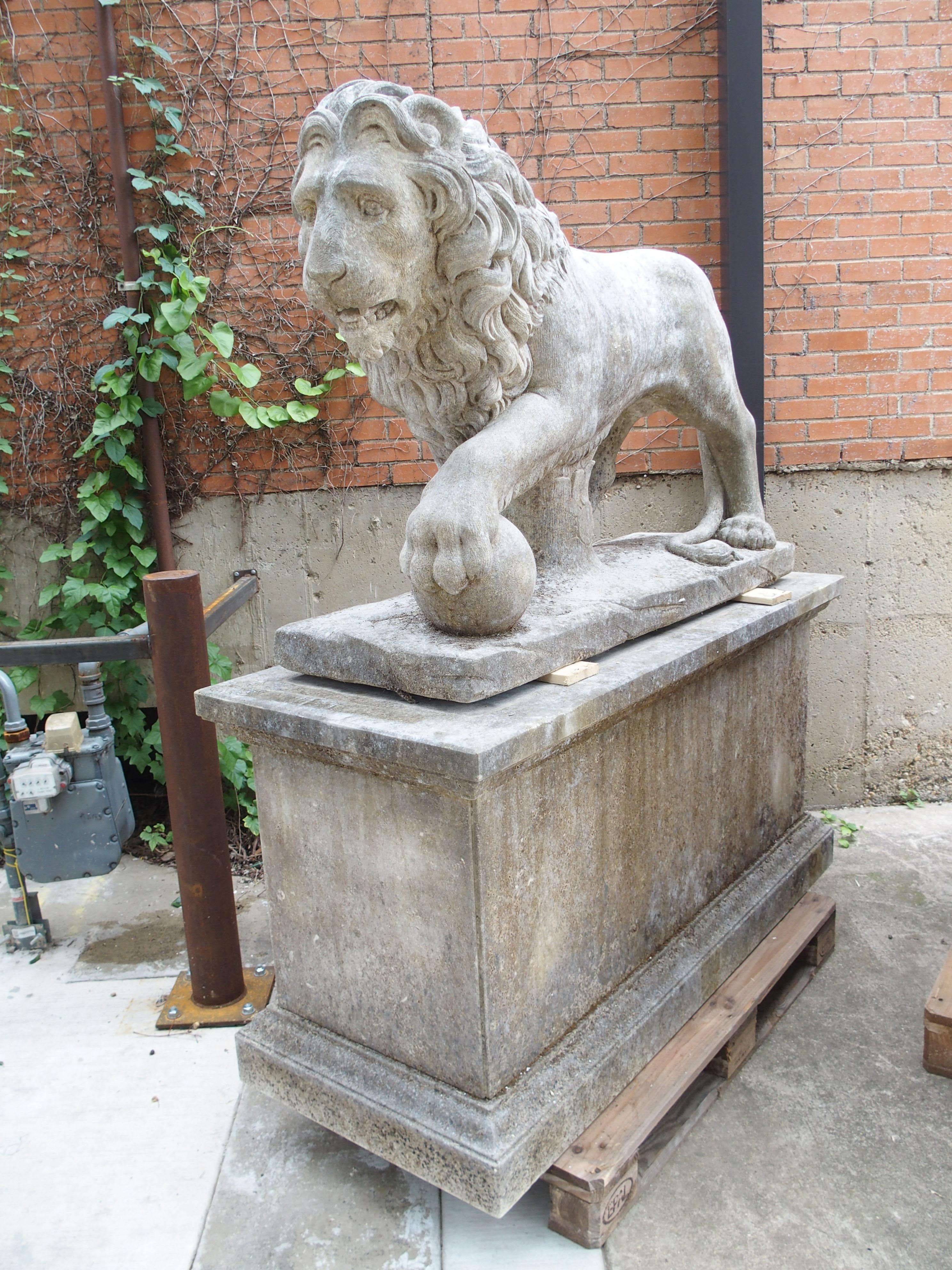 I Leoni di Firenze, coppia monumentale di leoni medicei in pietra calcarea scolpita in Italia in vendita 10