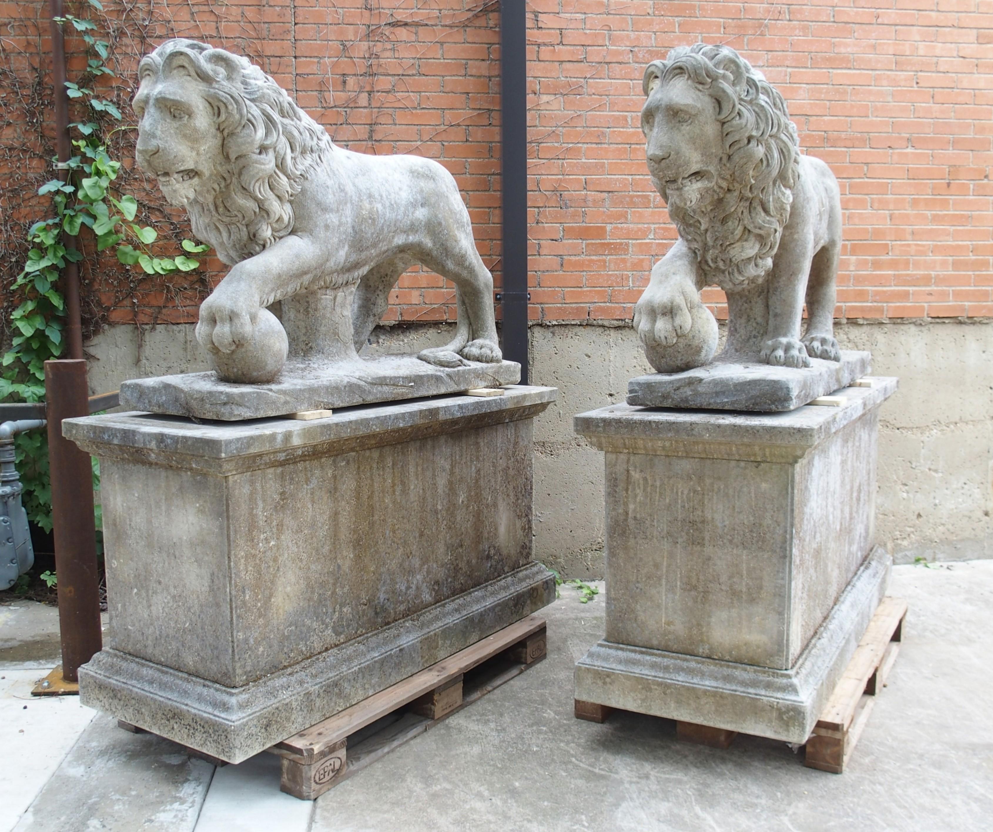 Le dimensioni monumentali di questa coppia di leoni in pietra calcarea intagliati a mano sono davvero impressionanti e la loro statura è stata impreziosita dal posizionamento su classici piedistalli rettangolari. Firenze è nota per le sue