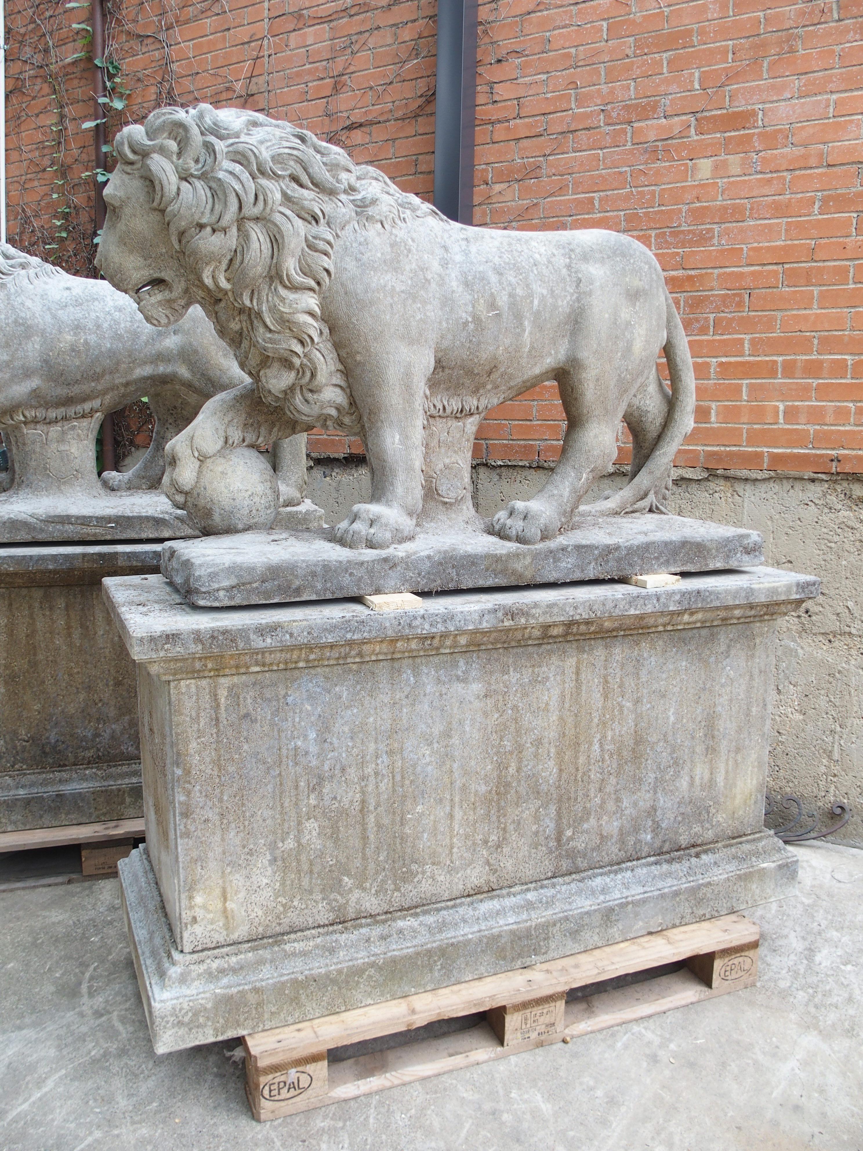 Neoclassico I Leoni di Firenze, coppia monumentale di leoni medicei in pietra calcarea scolpita in Italia in vendita