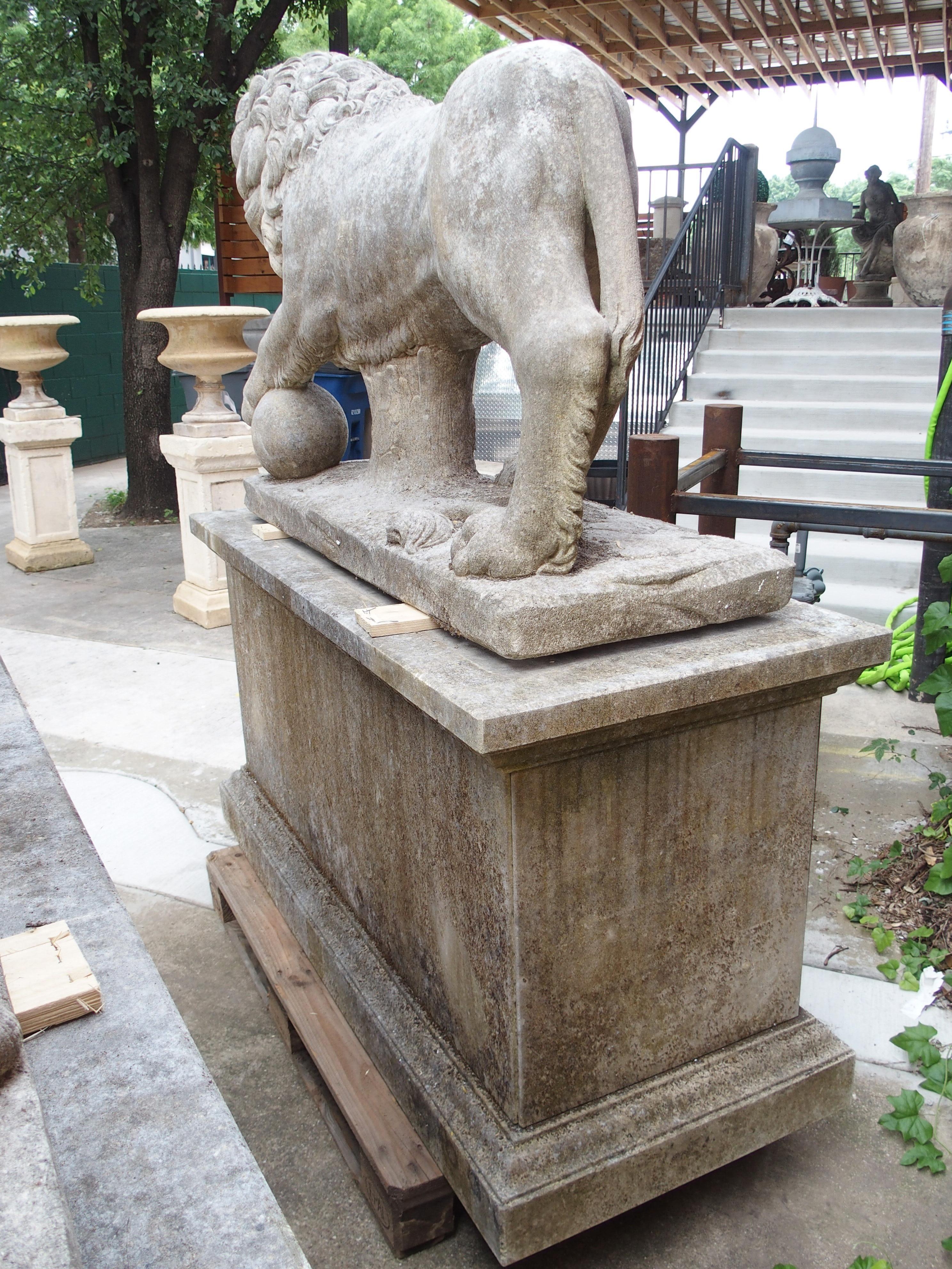 Intagliato a mano I Leoni di Firenze, coppia monumentale di leoni medicei in pietra calcarea scolpita in Italia in vendita